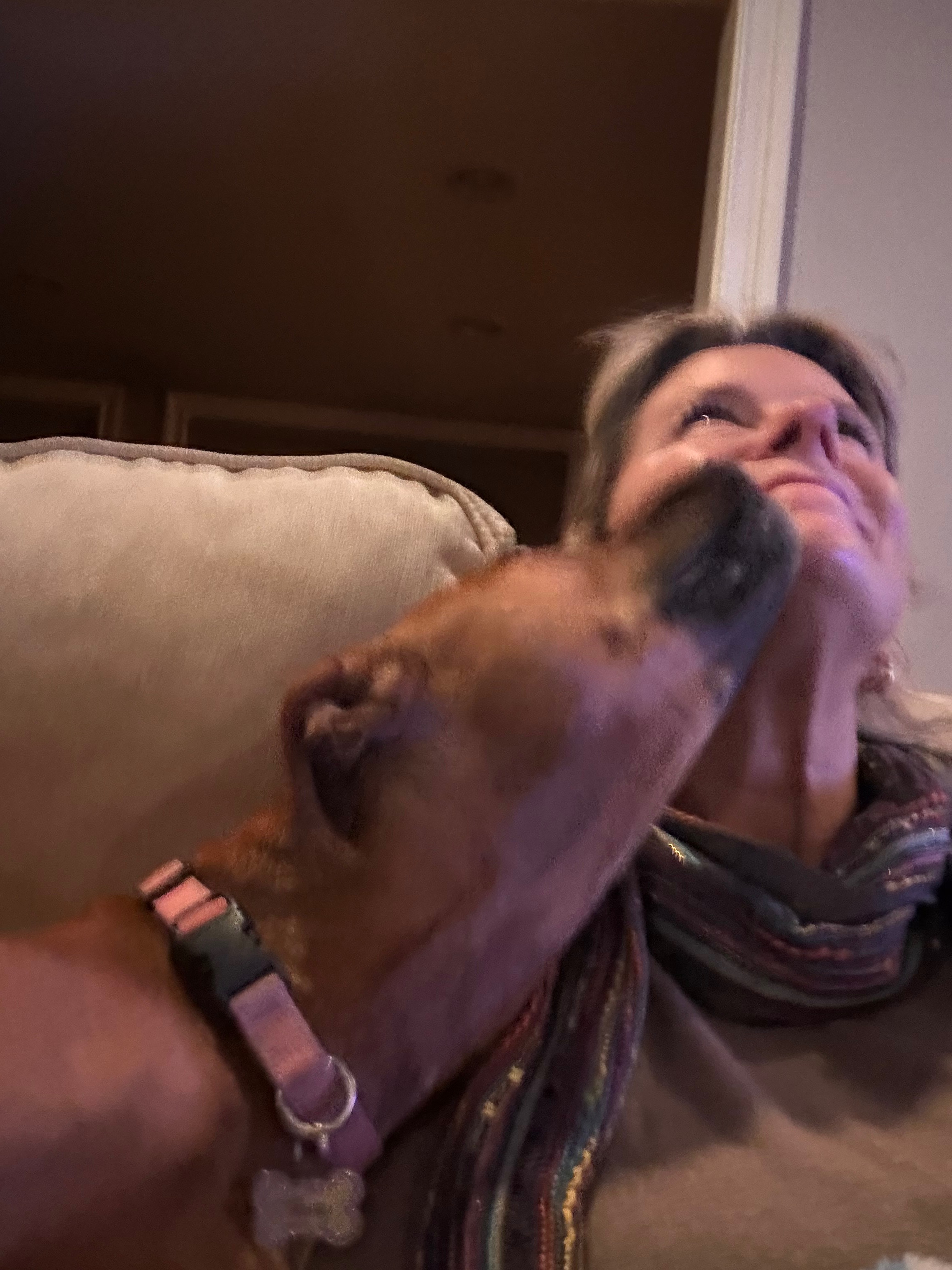Donate to JP's DAWS Animal Project campaign photo, 6 of 6