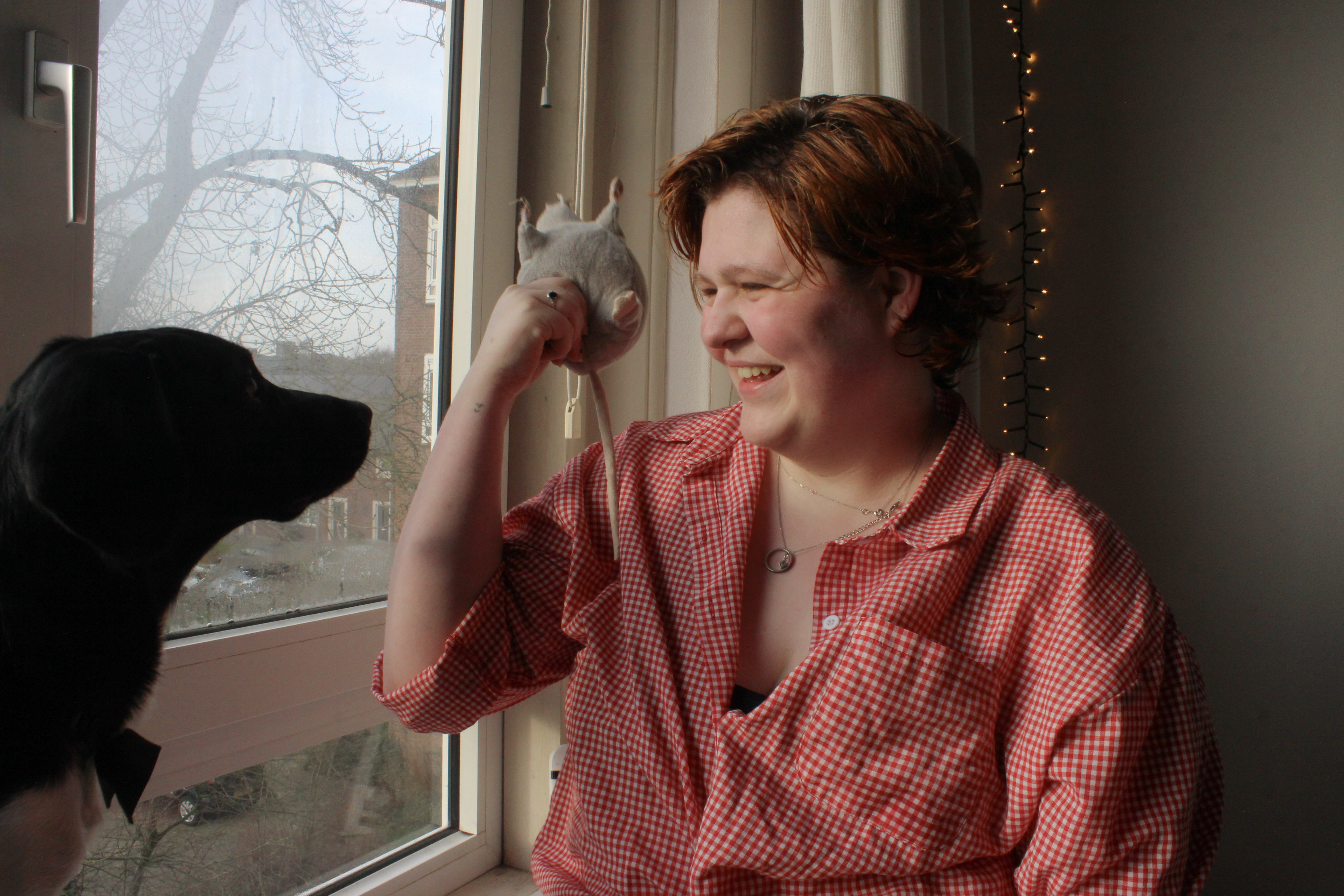 Een hulphonden-opleiding voor Otis campaign photo, 4 of 8