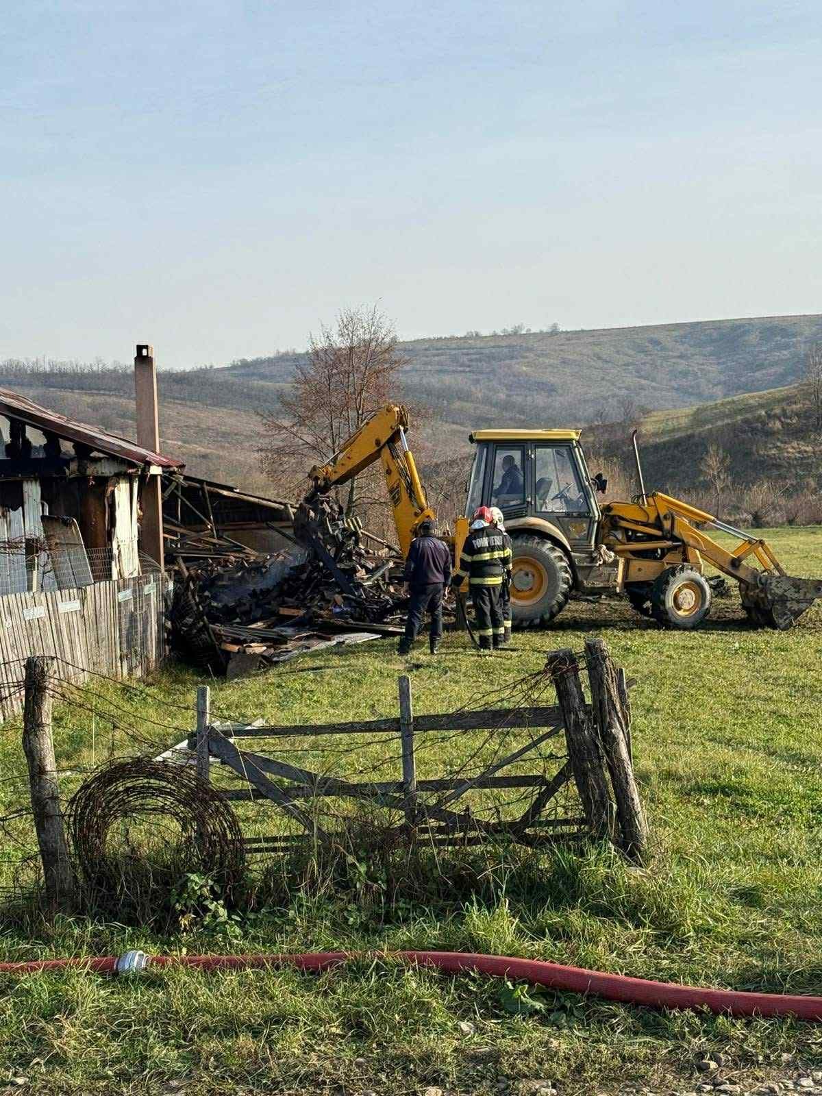 Împreună pentru bunicii noștri! campaign photo, 2 of 8
