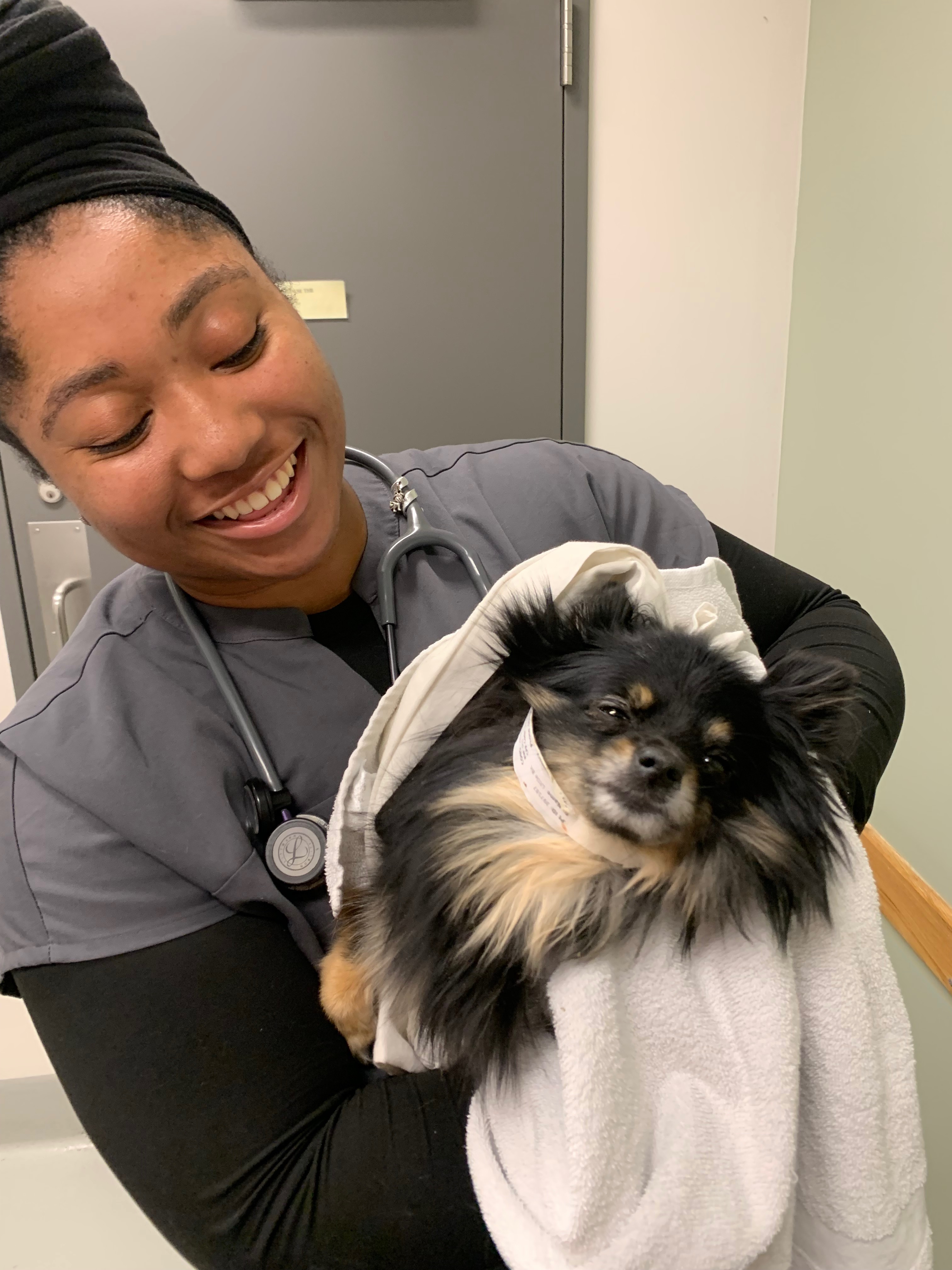 Help Little Bit Recover from Her Injury campaign photo, 4 of 8