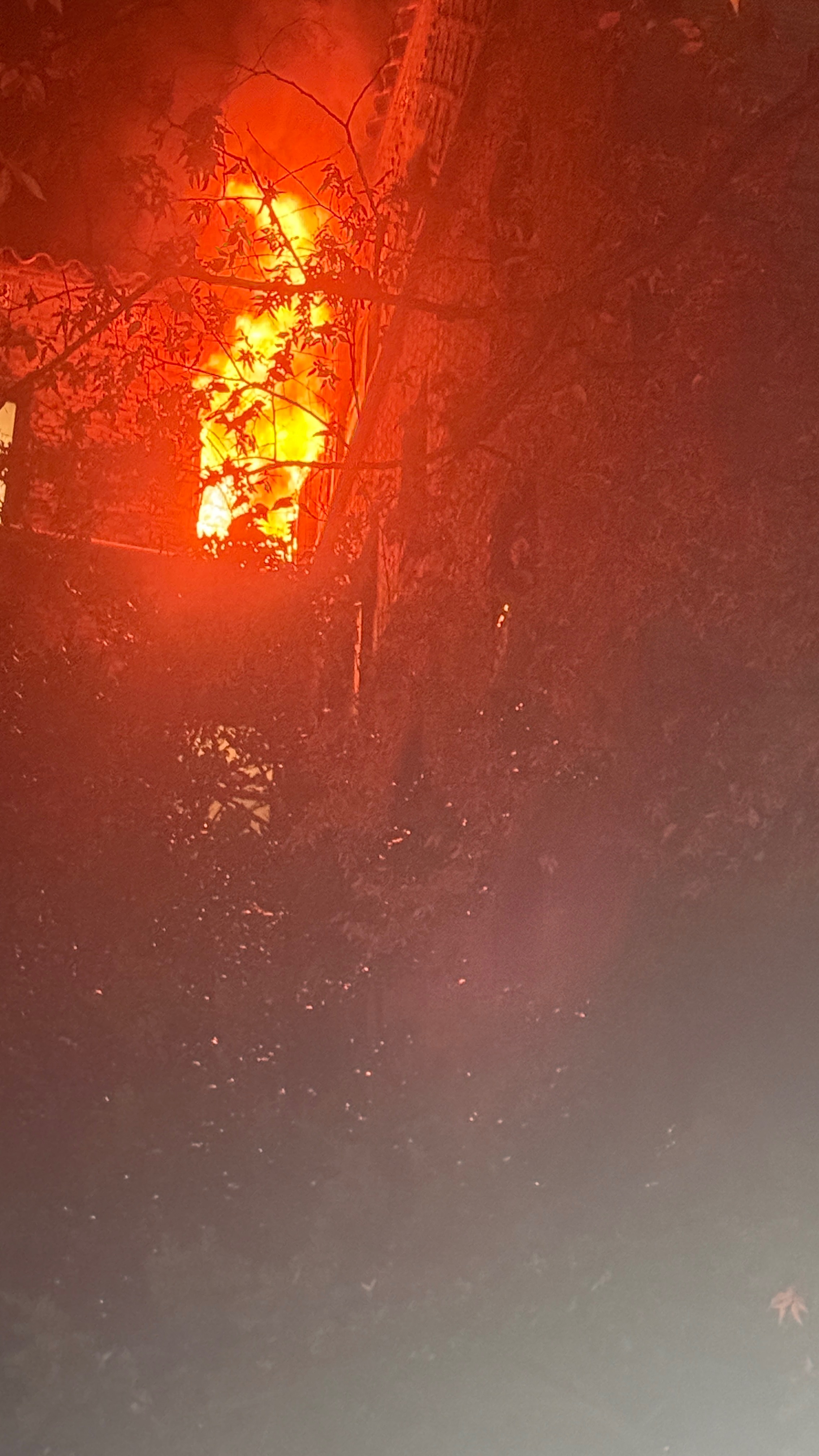 User-uploaded image 1