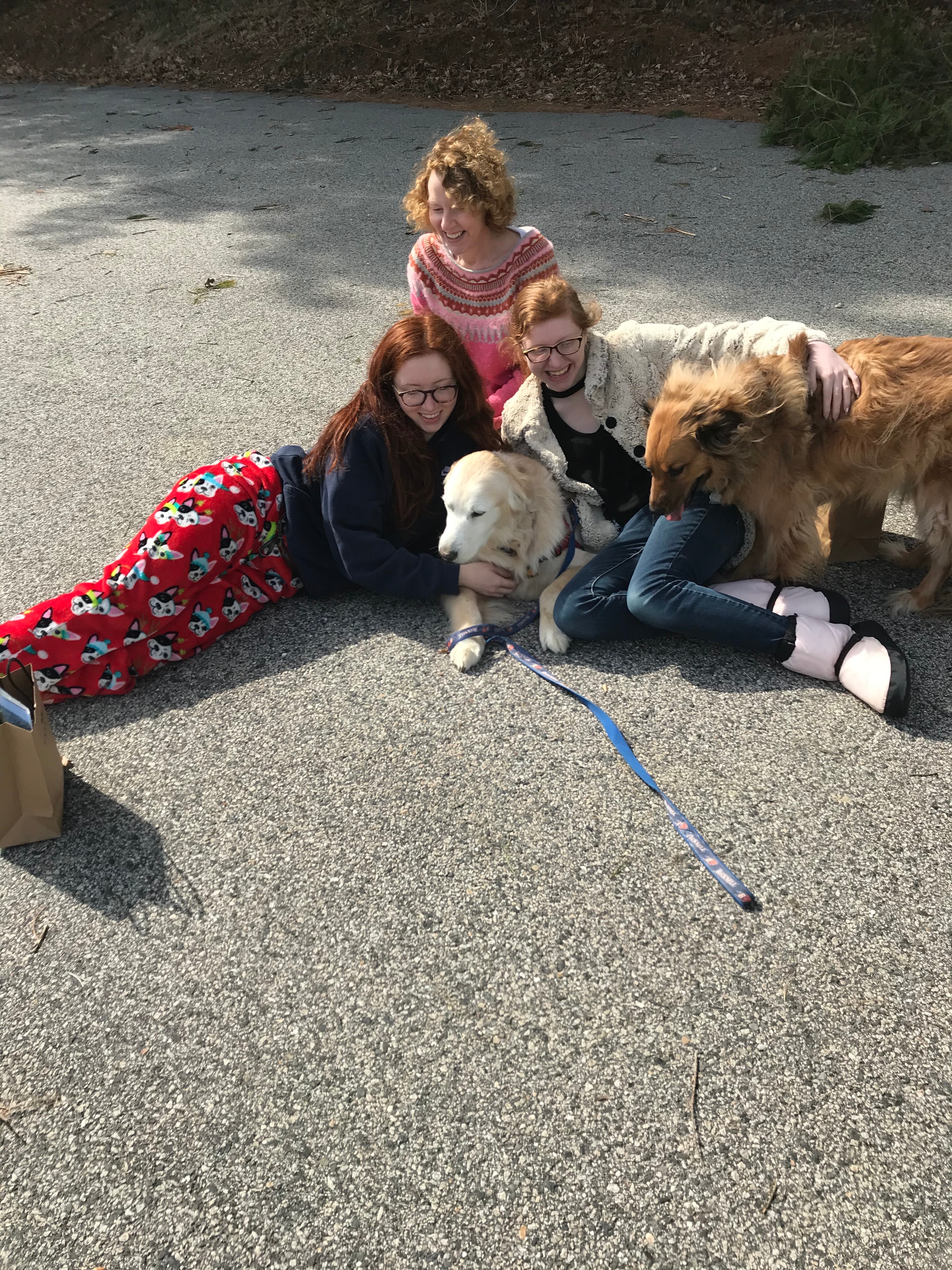 Help Carolynn and Her Daughters Heal campaign photo, 7 of 8