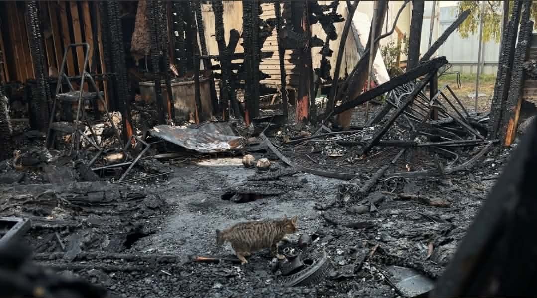 Support Chanel's Recovery from House Fire campaign photo, 5 of 6