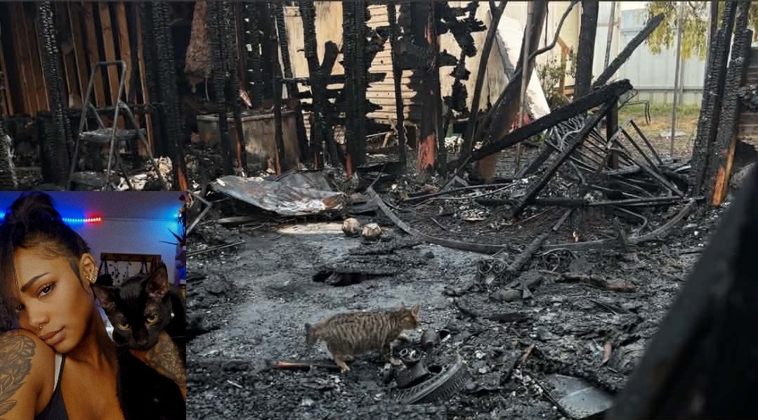 Support Chanel's Recovery from House Fire campaign photo, 4 of 6