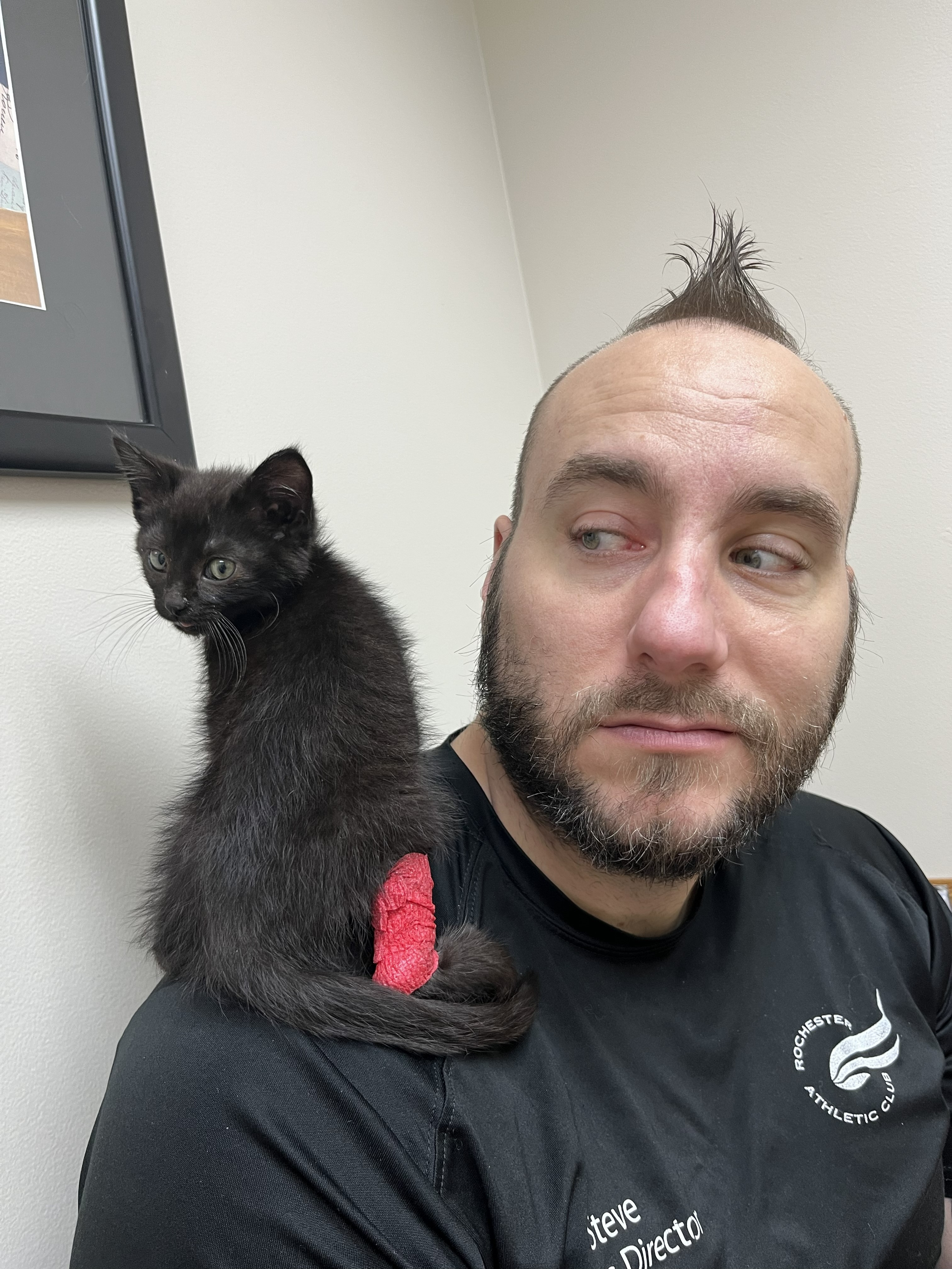 Spooky's Best Shot To Survive campaign photo, 7 of 8