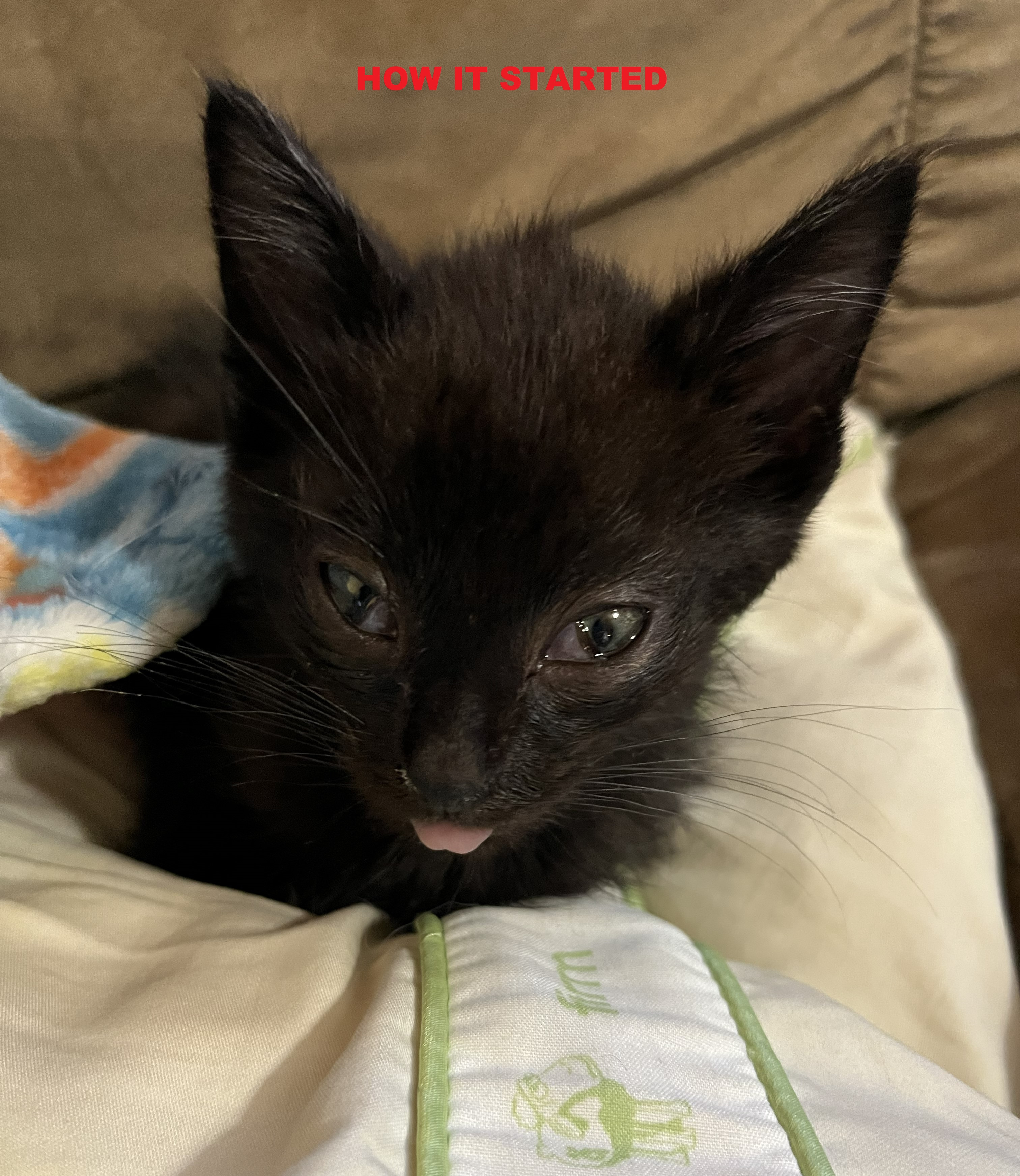 Spooky's Best Shot To Survive campaign photo, 6 of 8