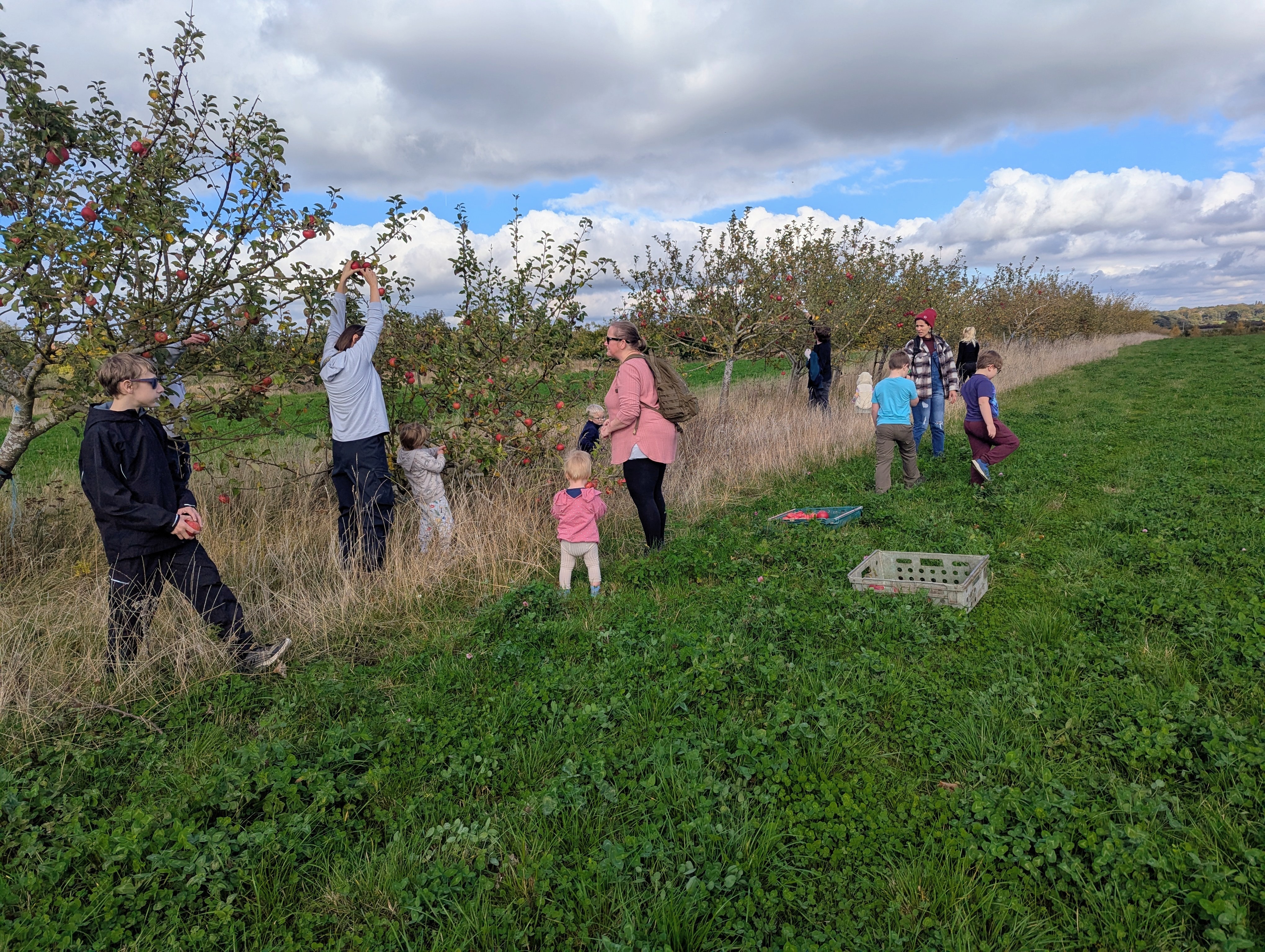 Help us build our kids community garden! campaign photo, 2 of 7