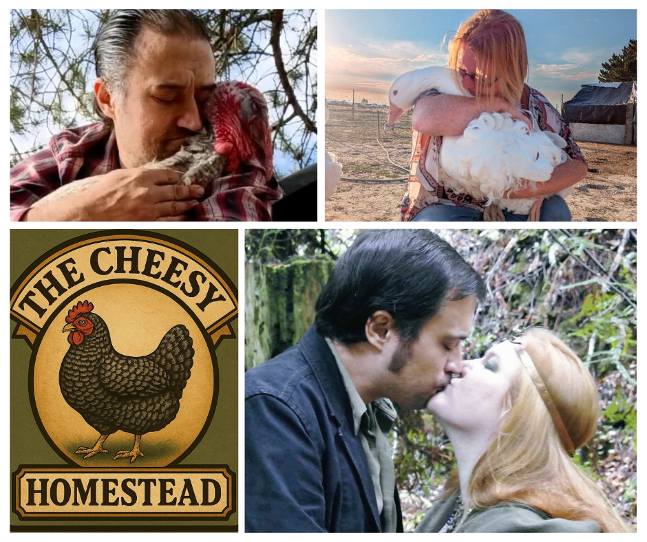 Help Save The Cheesy Homestead campaign photo, 6 of 8