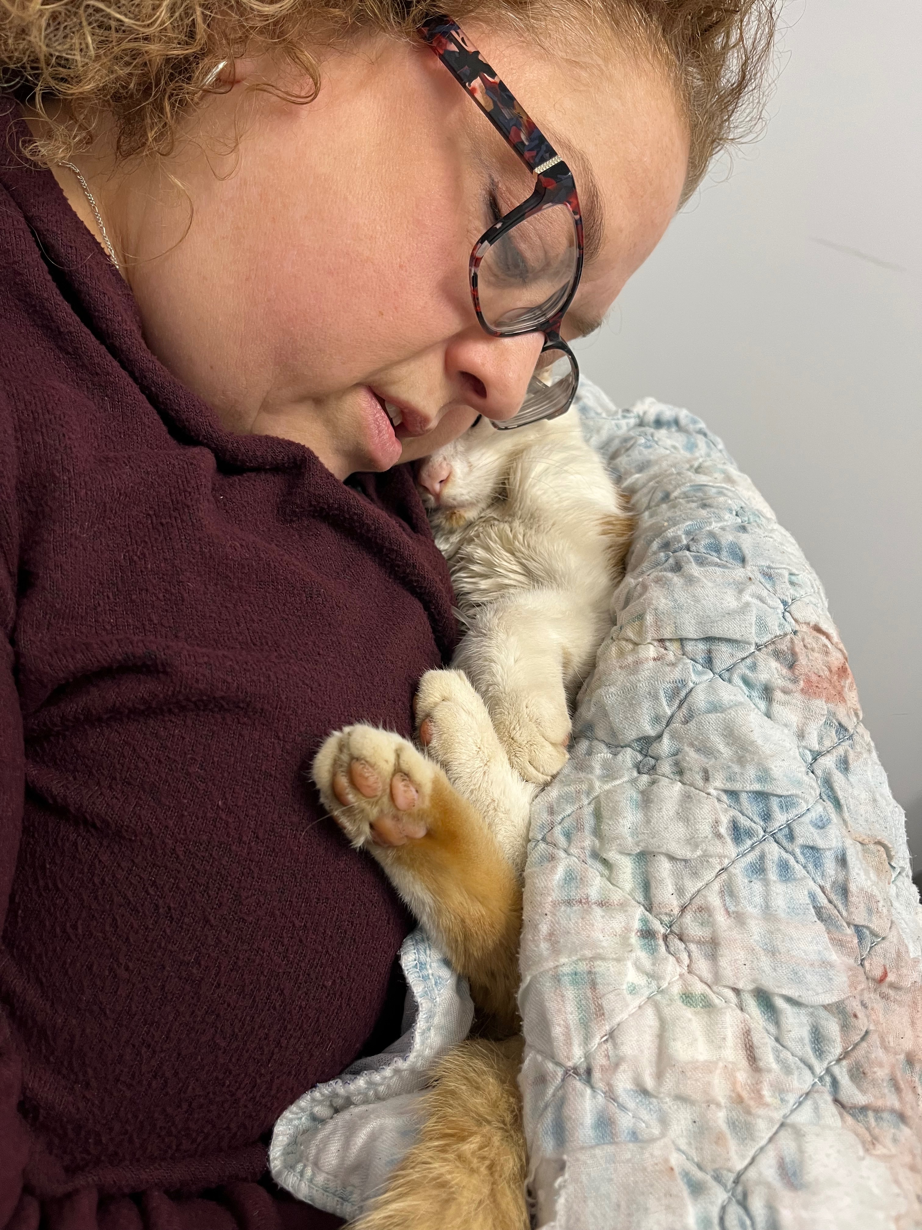 CLOSED-Help Stabilize Paisley: Lost Cat Found Critical campaign photo, 4 of 8