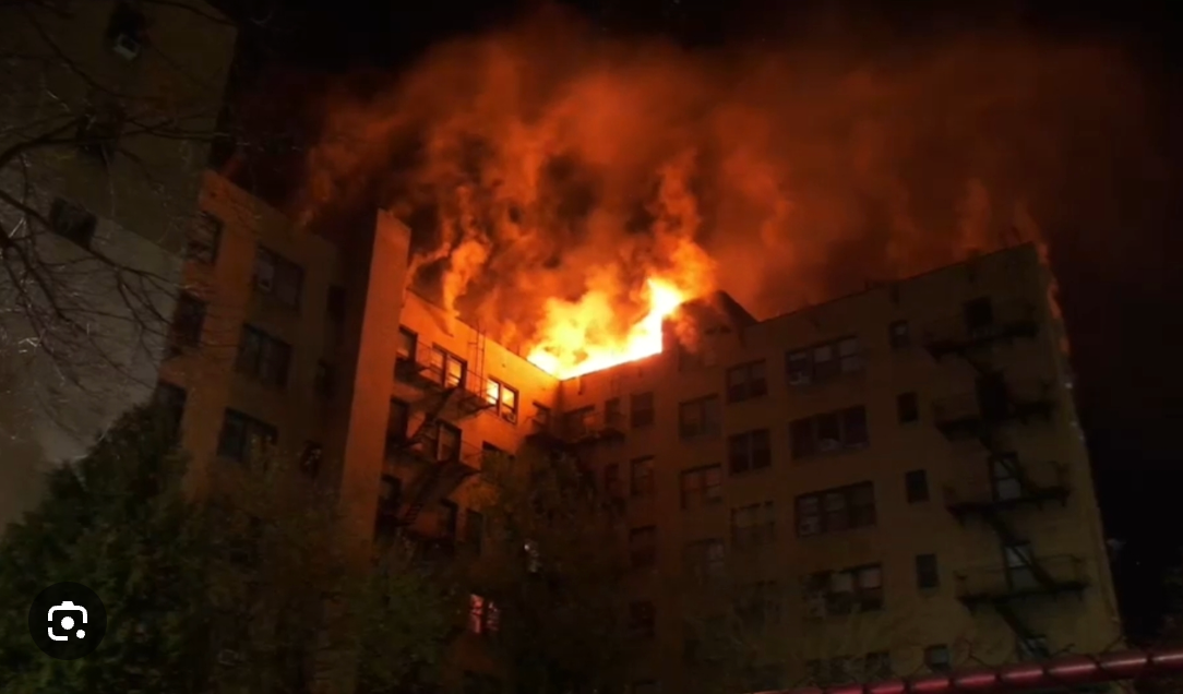 User-uploaded image 1