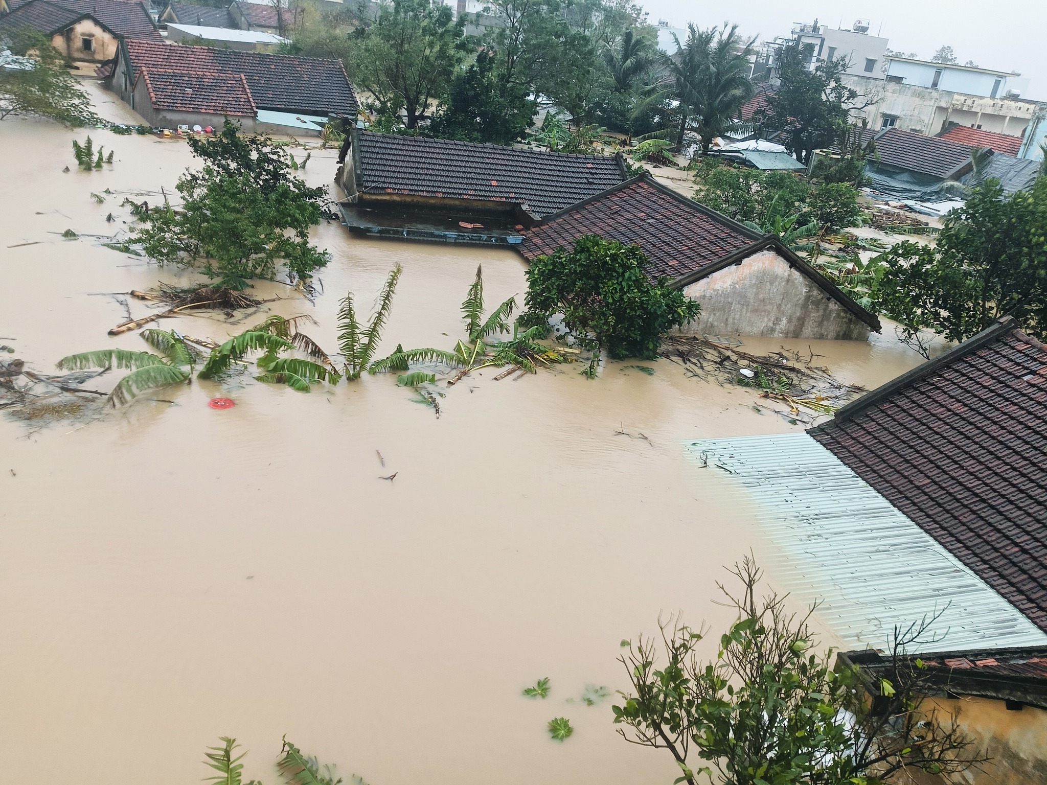 Support Phu-Yen Province (Vietnam) After Record Flood campaign photo, 5 of 6