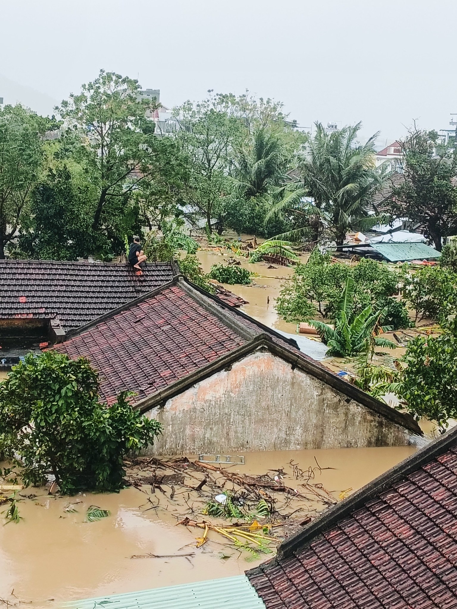 Support Phu-Yen Province (Vietnam) After Record Flood campaign photo, 4 of 6