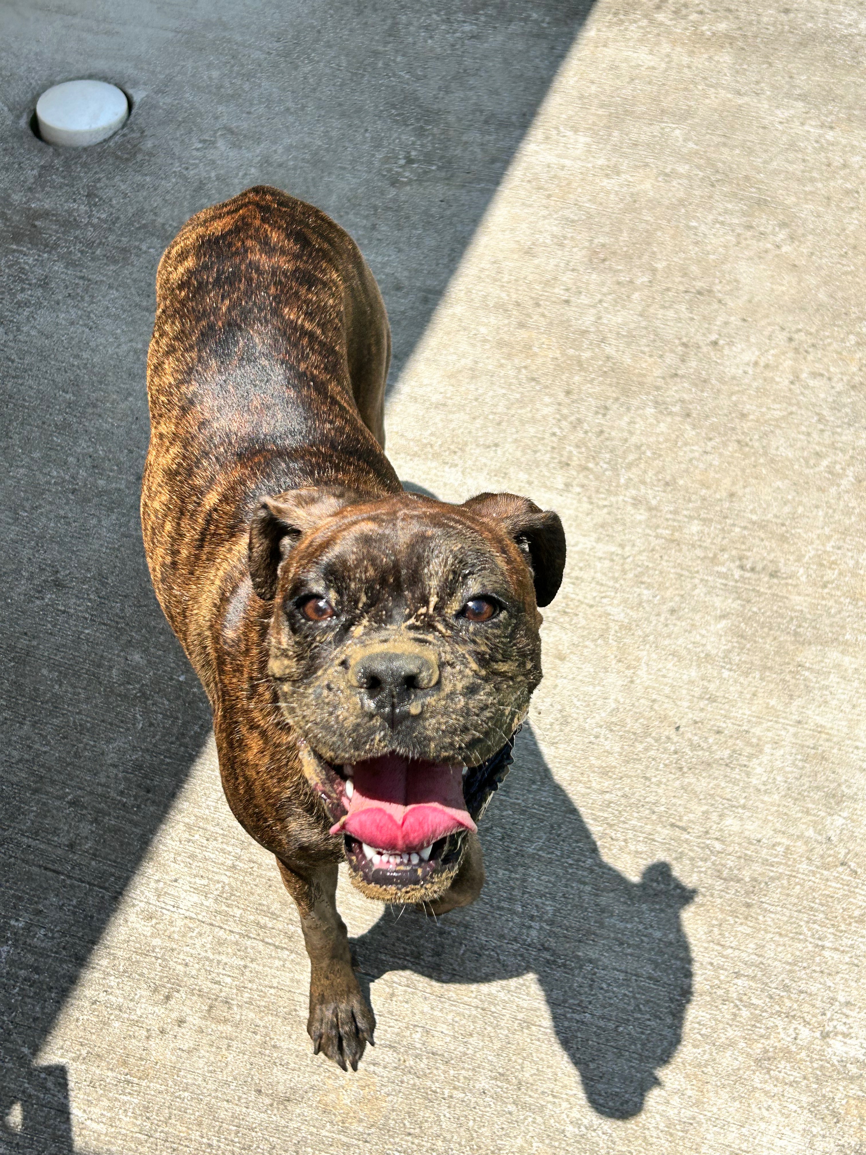 Help titan get his life saving surgery campaign photo, 6 of 8