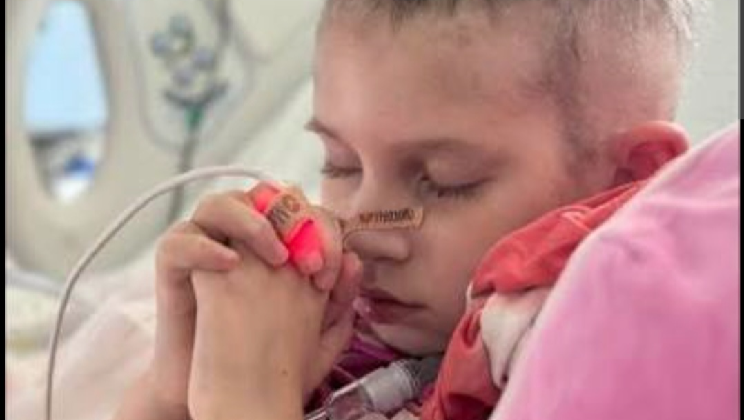 Help Save My Son’s Life – Fighting Blood Cancer