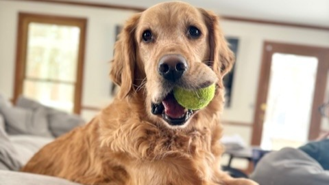 Denim Deserves More Good Years photo