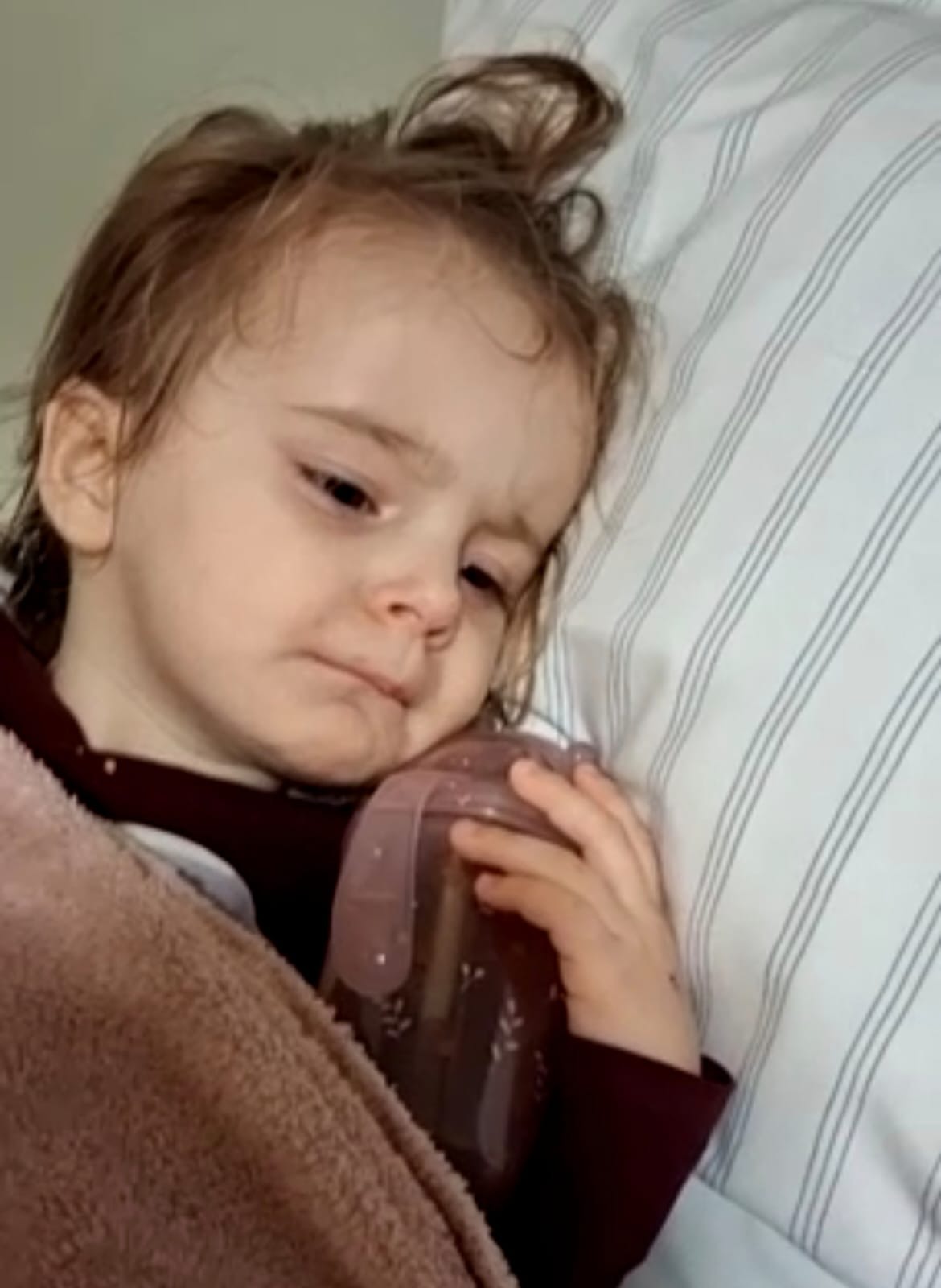 Vom Nutzer hochgeladenes Bild 1