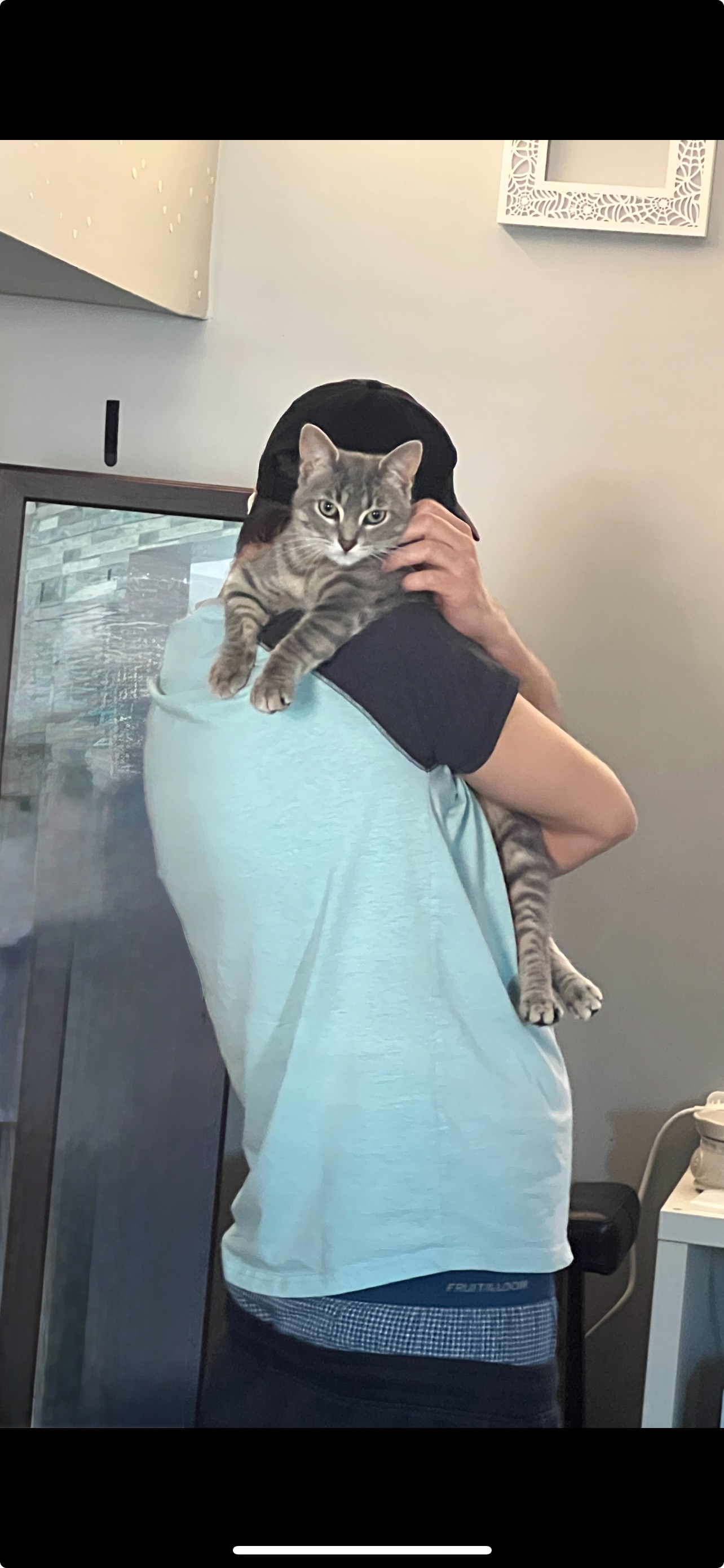 Maya needs help diagnosing and fighting liver disease campaign photo, 4 of 8