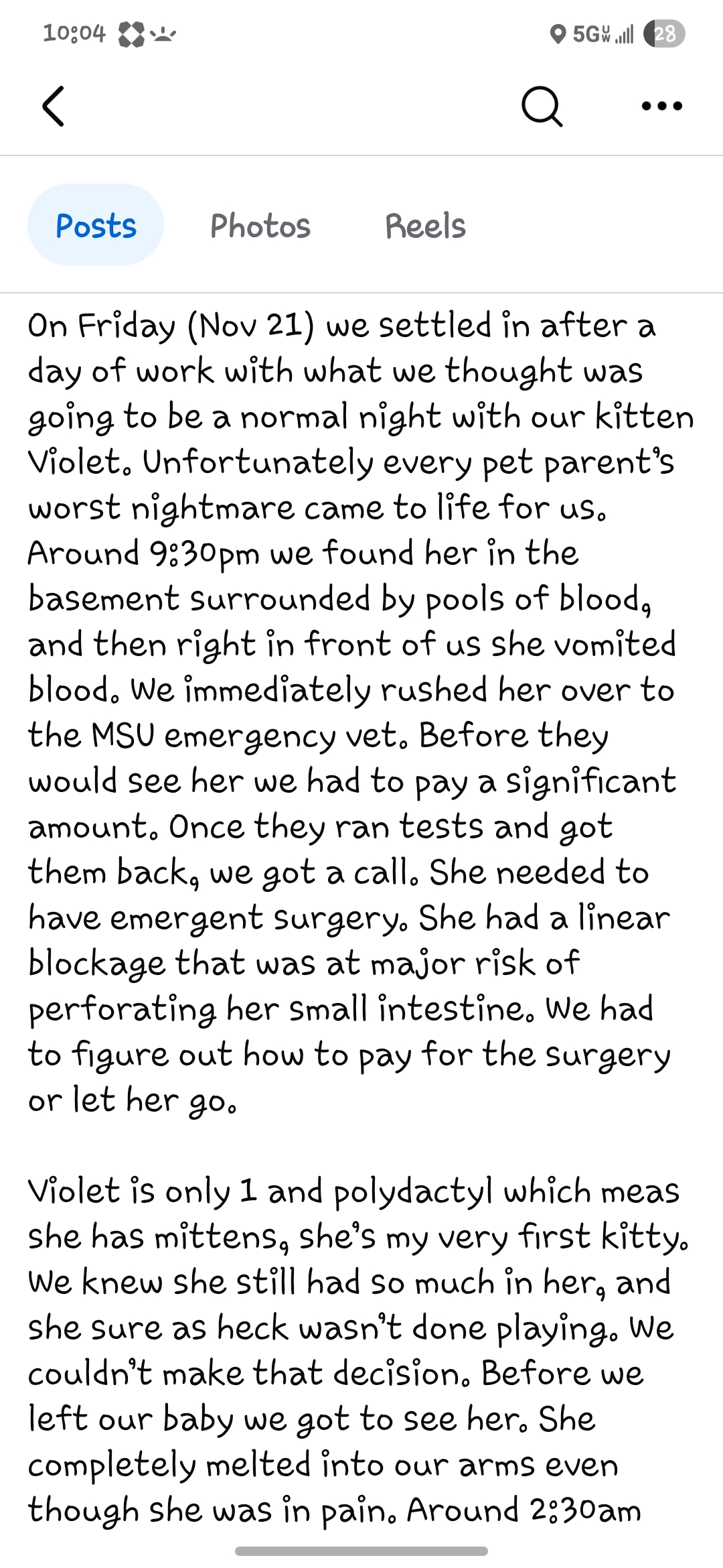 Help Violet's Emergency Surgery Costs campaign photo, 4 of 8