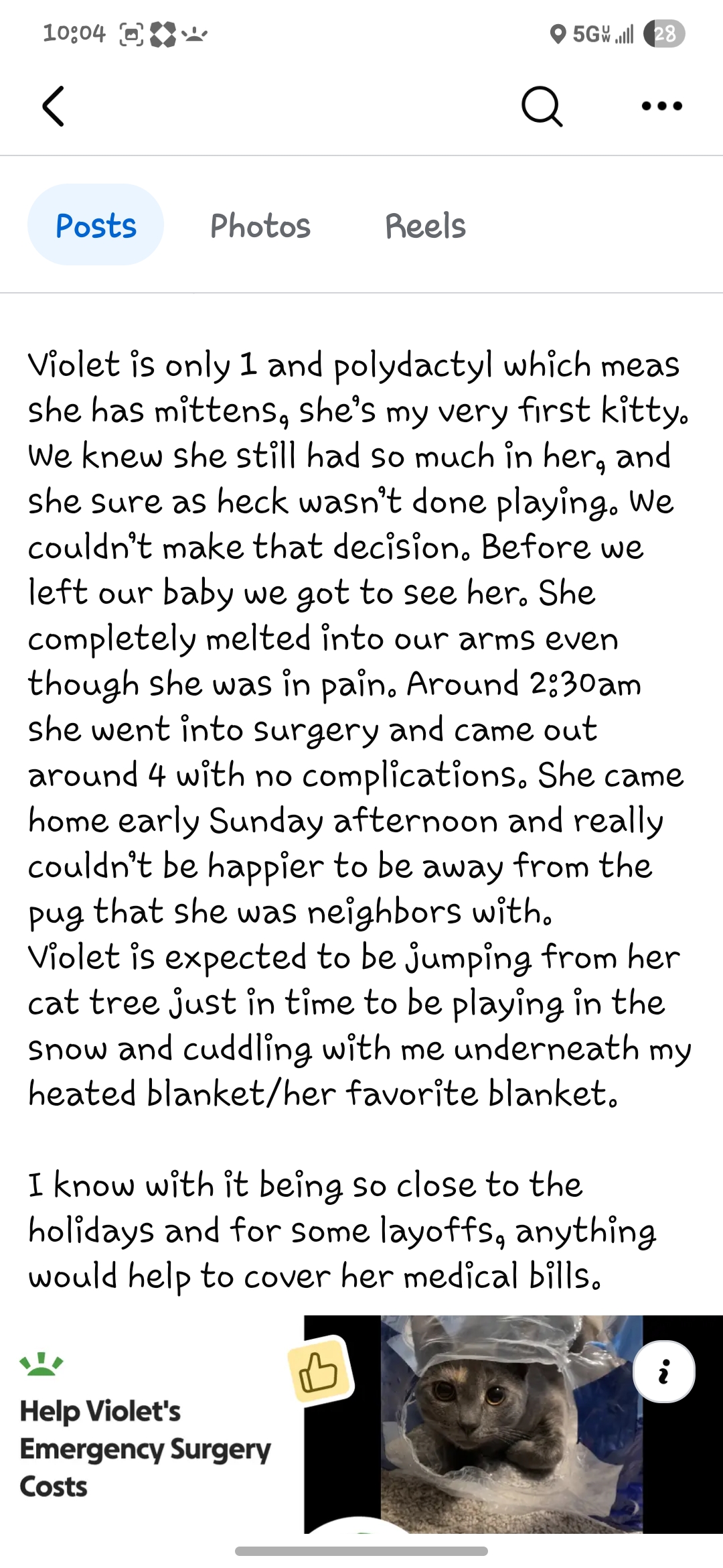 Help Violet's Emergency Surgery Costs campaign photo, 5 of 8