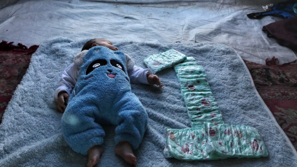 Frog Shop - Studio Appeltjesgroen, image size:1200x677