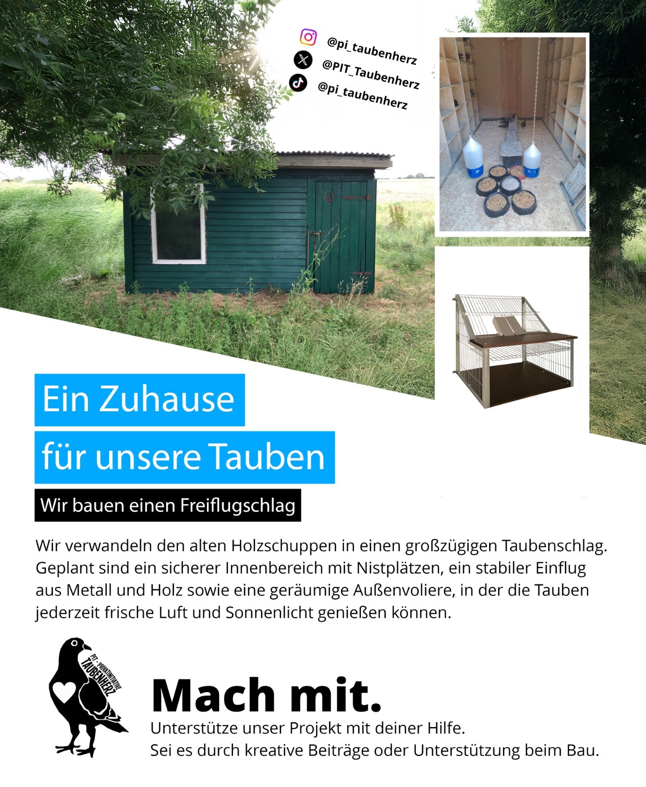 Ein Betreuter Taubenschlag für unsere Tauben campaign photo, 5 of 6
