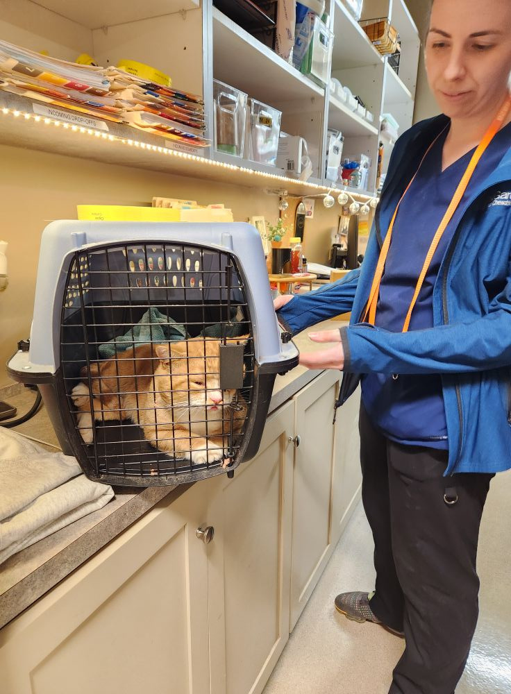 User-uploaded image 1