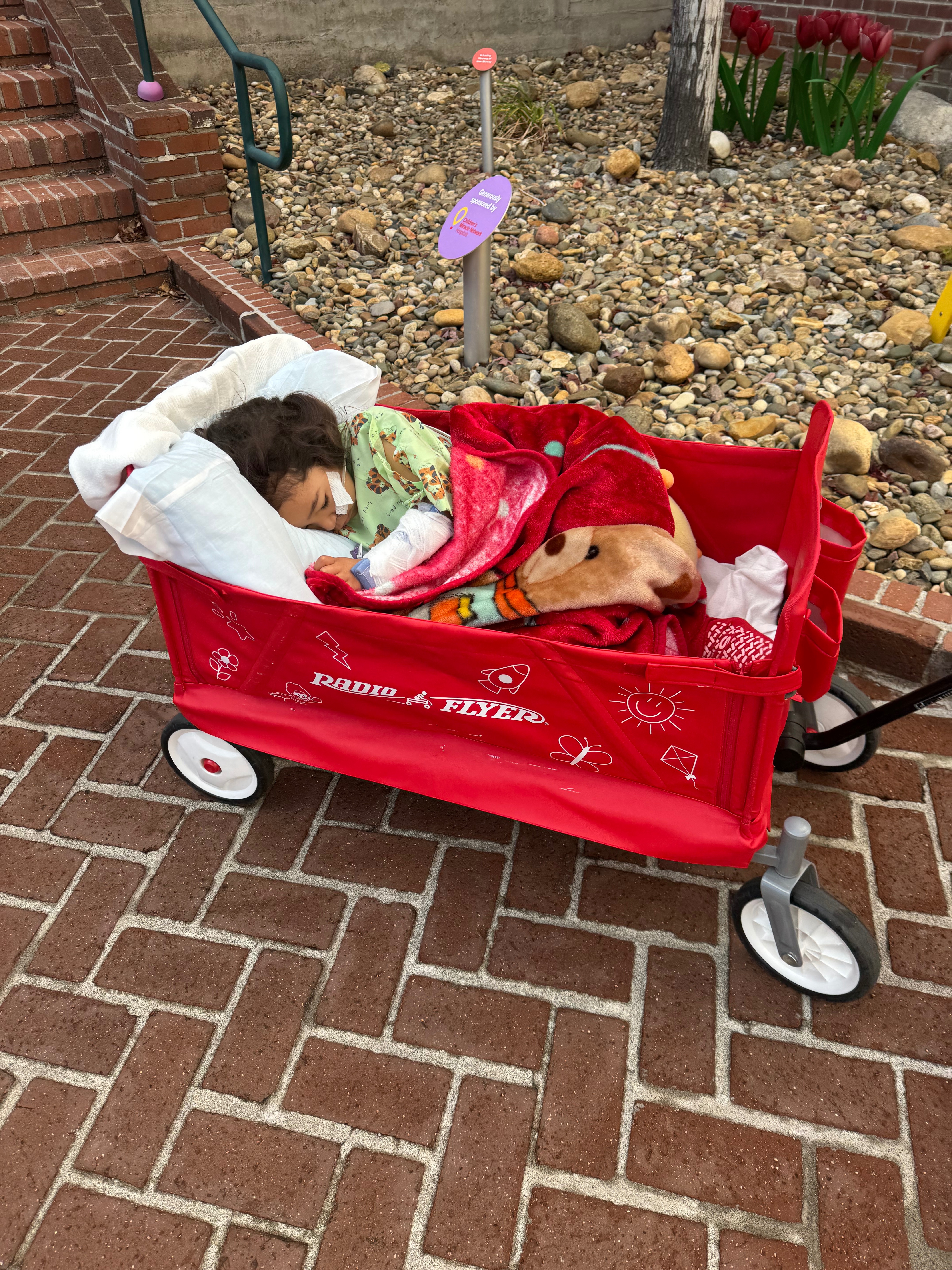Help Lyla Heal: Donate for Her Medical Journey campaign photo, 2 of 5