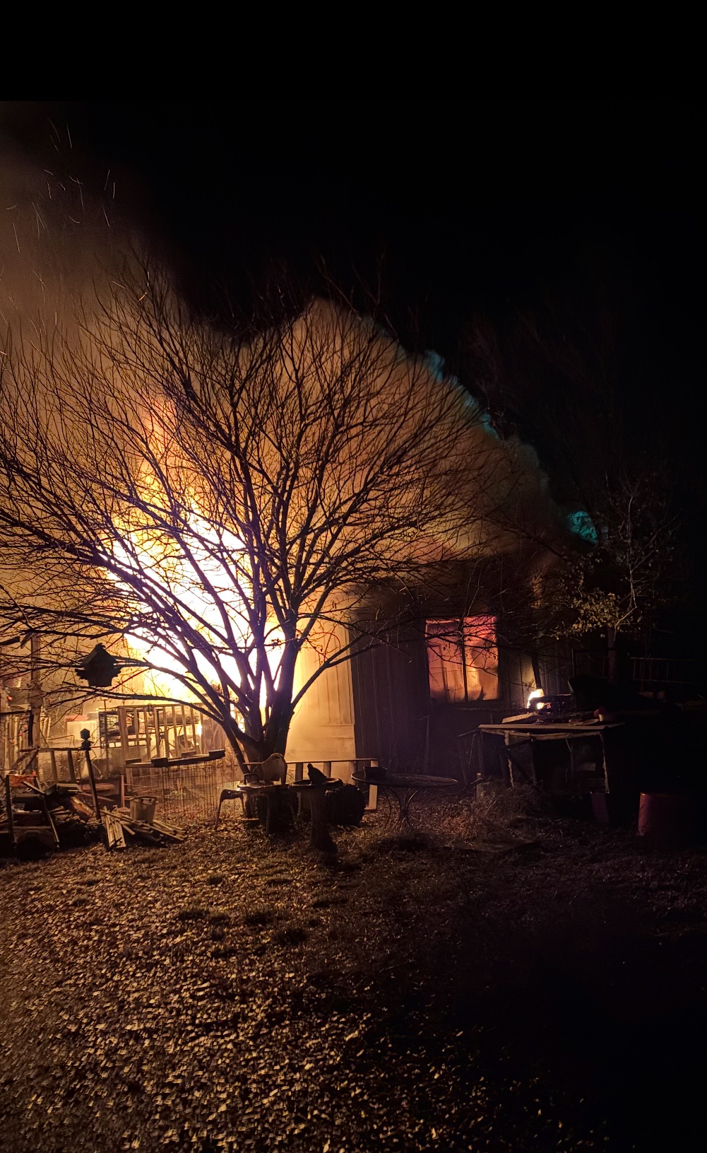 User-uploaded image 1