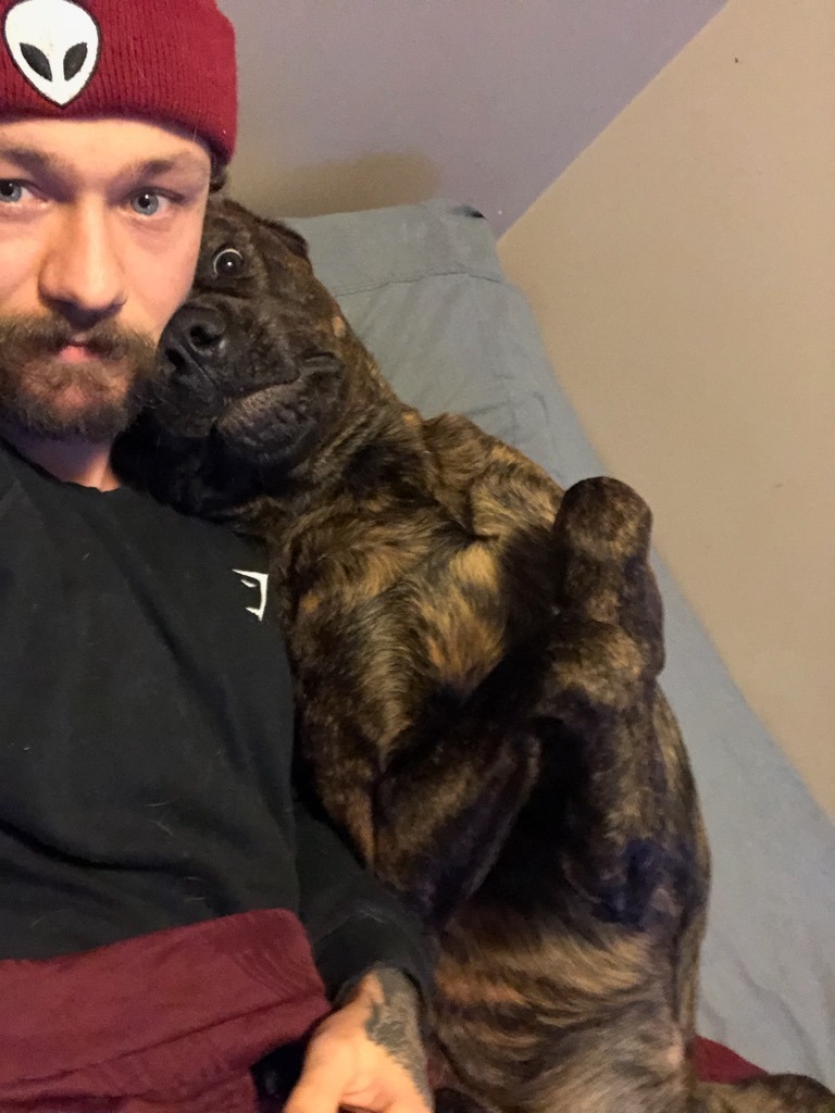 Help Elliott after Devastating Hit and Run campaign photo, 2 of 5