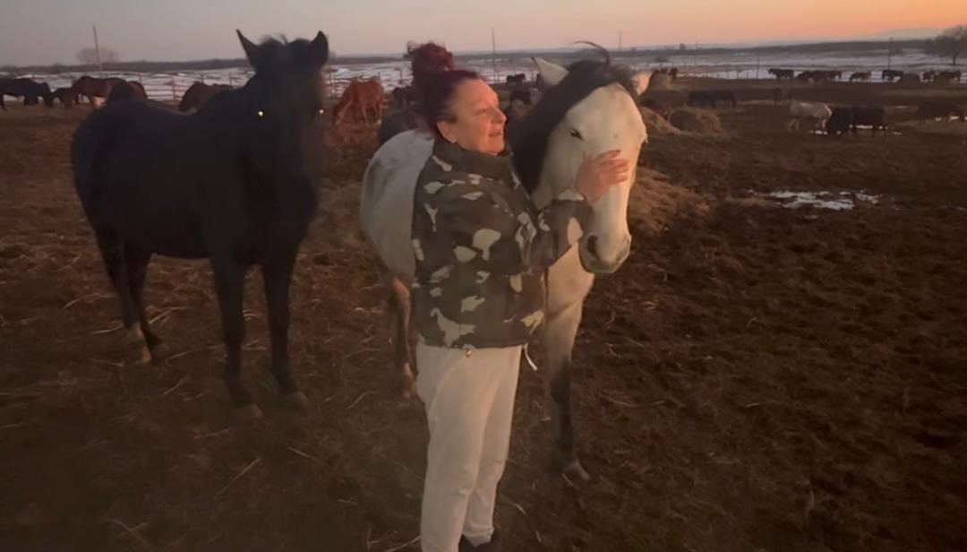 Emergency help for Mariuta Animal Sanctuary in Romania campaign photo, 5 of 8
