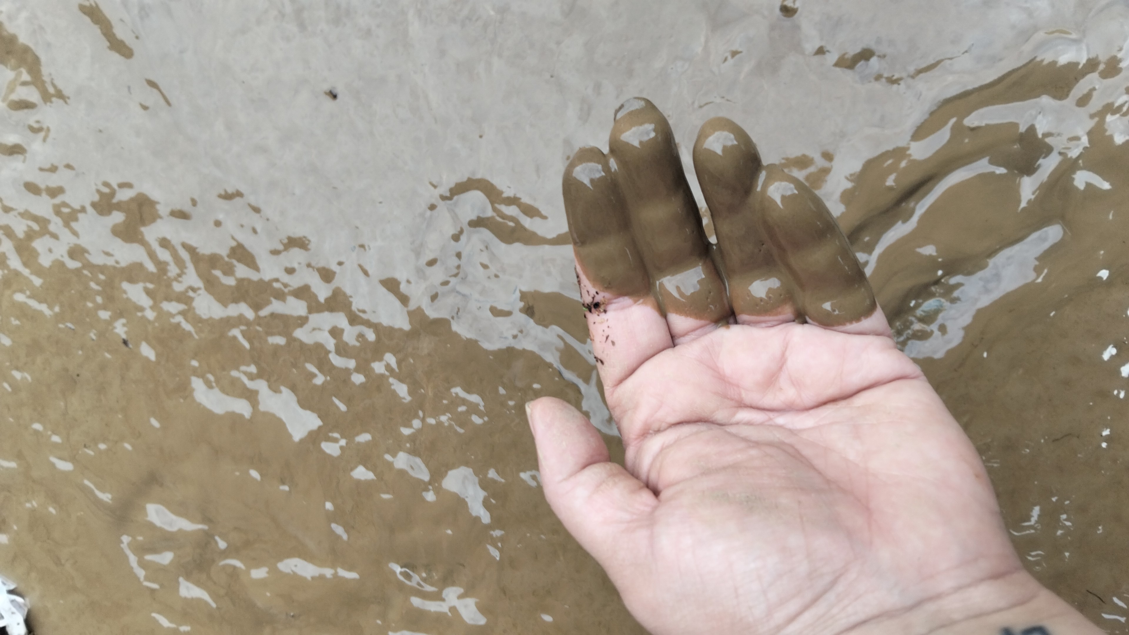 Alluvione Settembre 25: ricominciare da zero a 48 anni campaign photo, 7 of 8