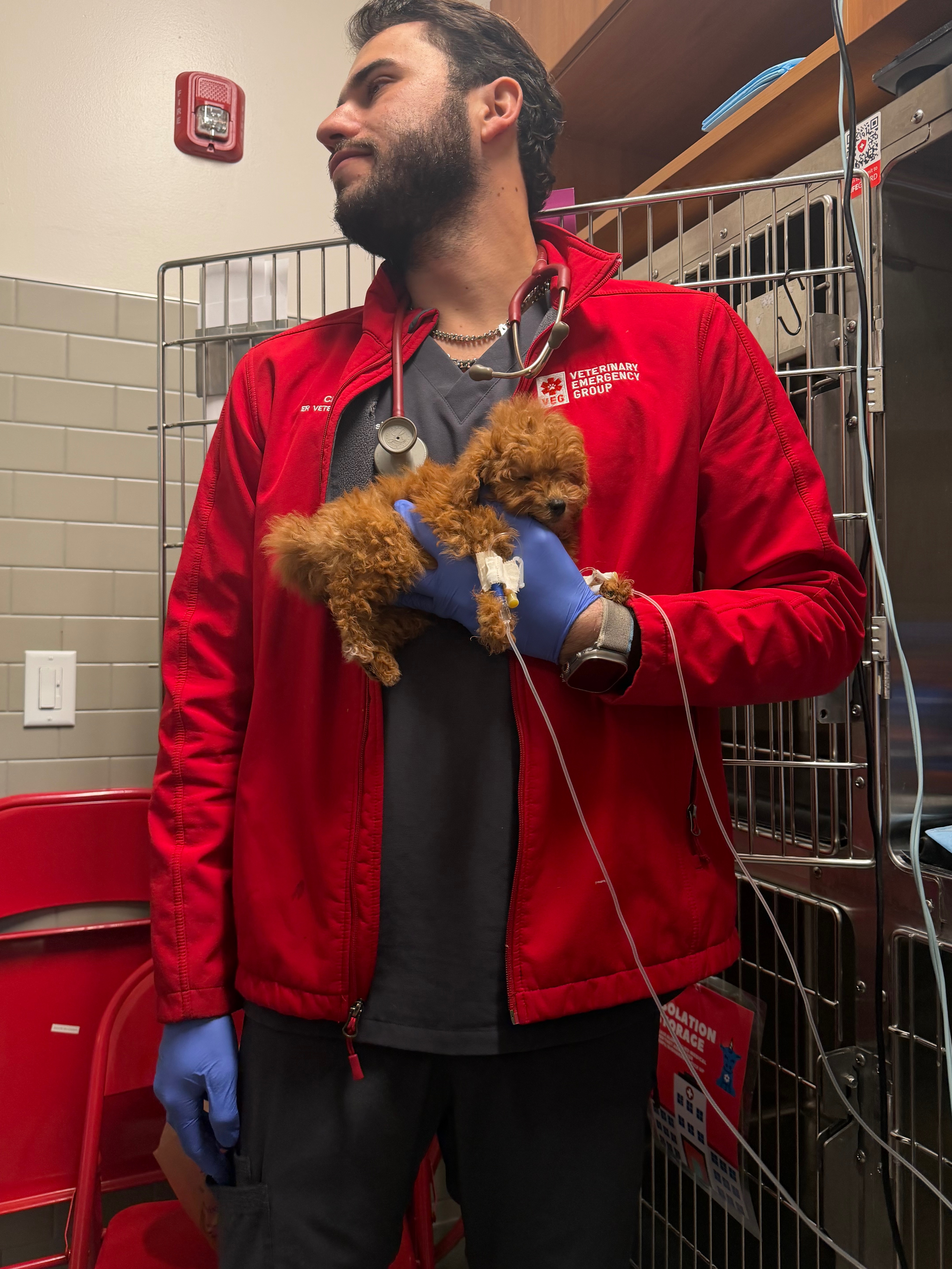 Support Teddy's Fight for Survival campaign photo, 6 of 8