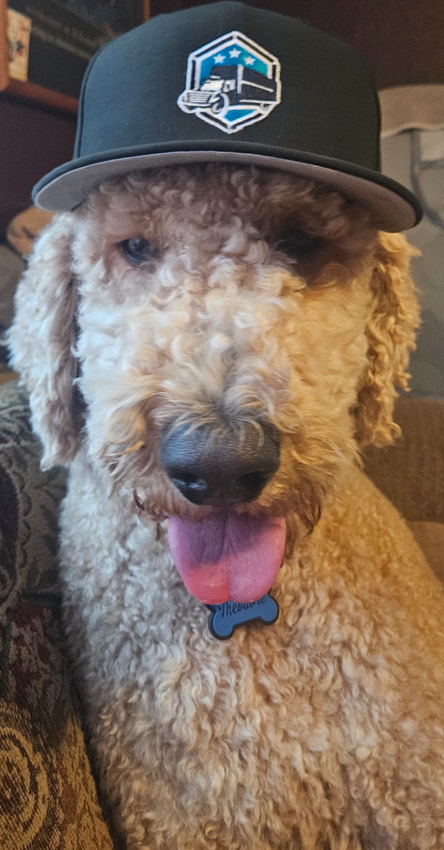 Help Theodore Recover from Seizures campaign photo, 5 of 6