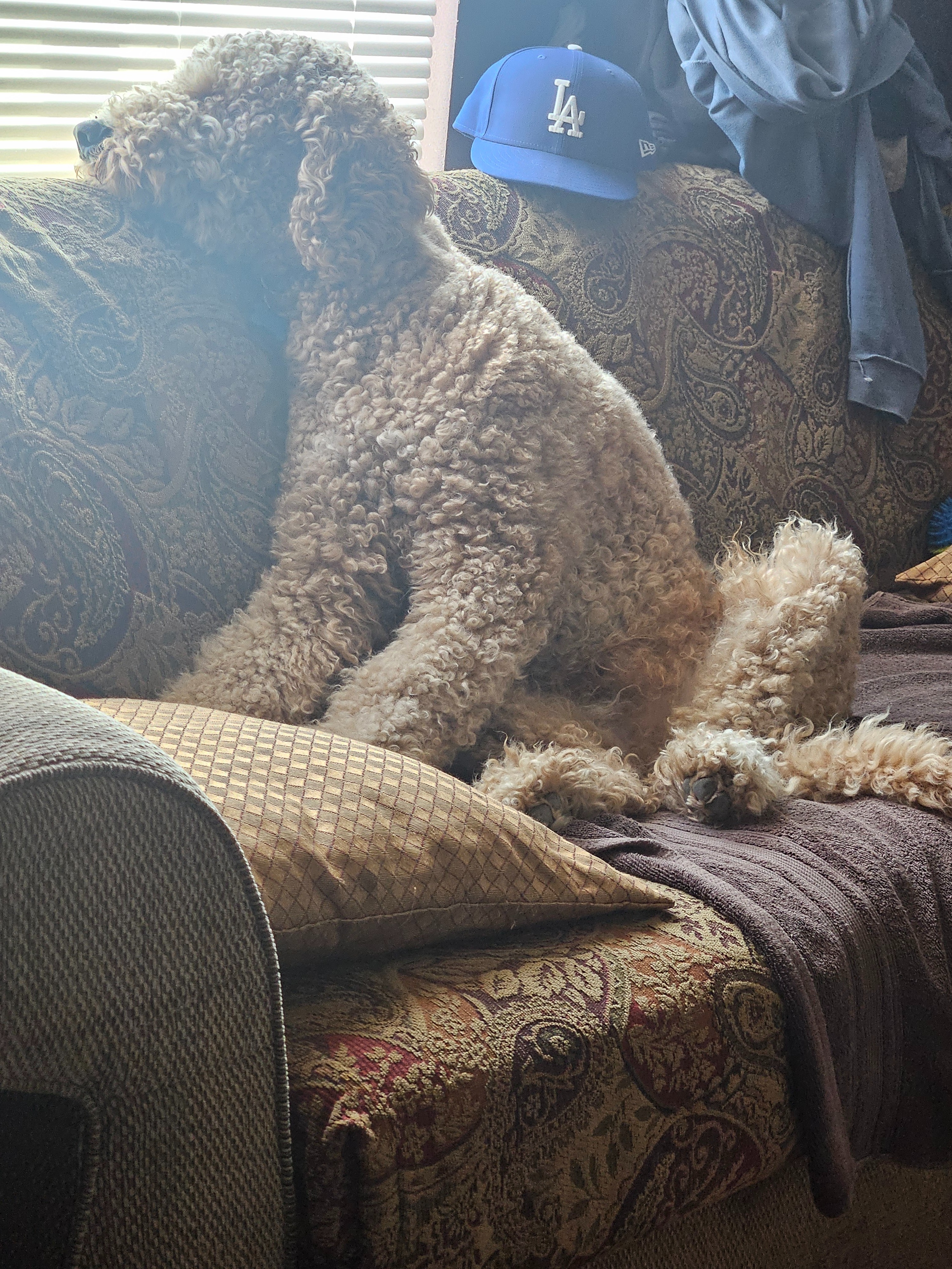 Help Theodore Recover from Seizures campaign photo, 2 of 6