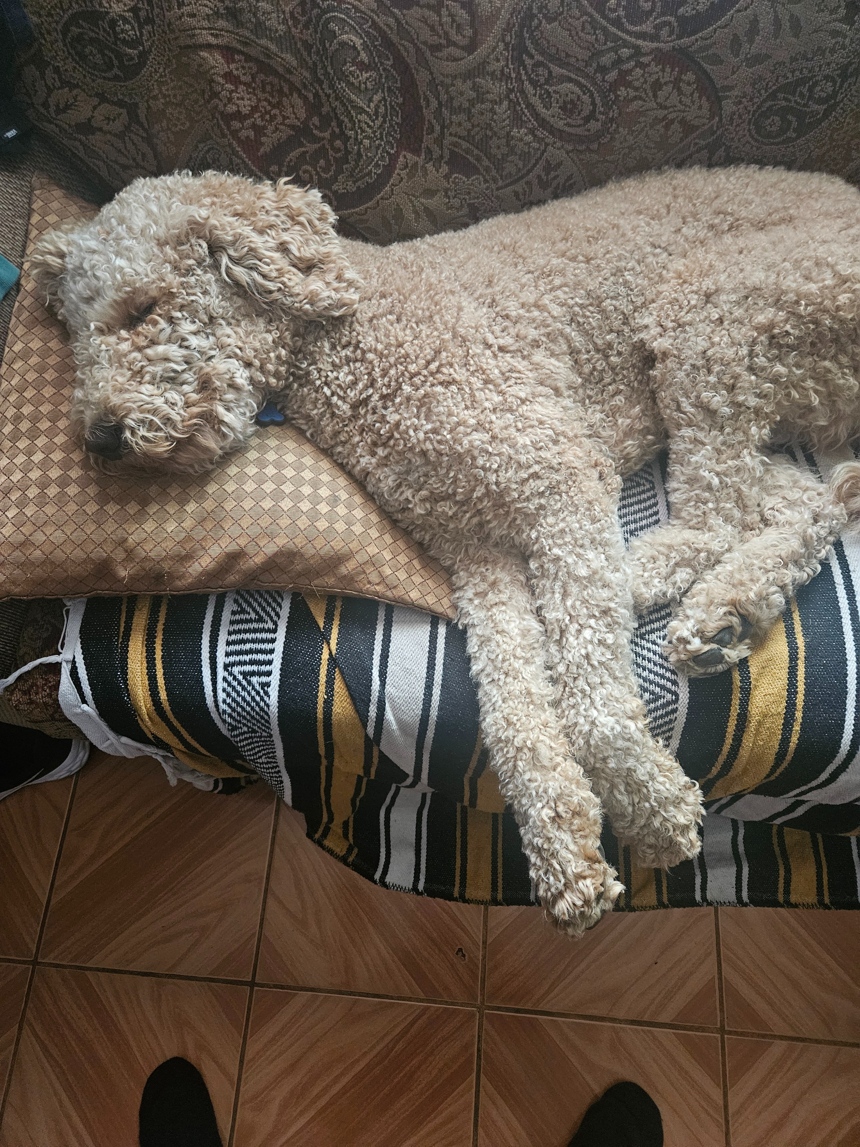 Help Theodore Recover from Seizures campaign photo, 4 of 6