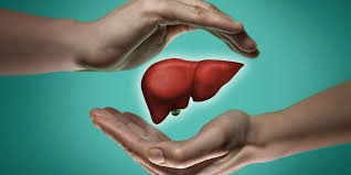 Support Big Glenn’s Liver Transplant Journey campaign photo, 2 of 4