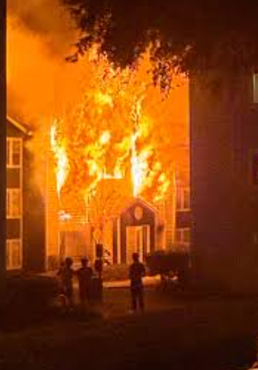 User-uploaded image 1