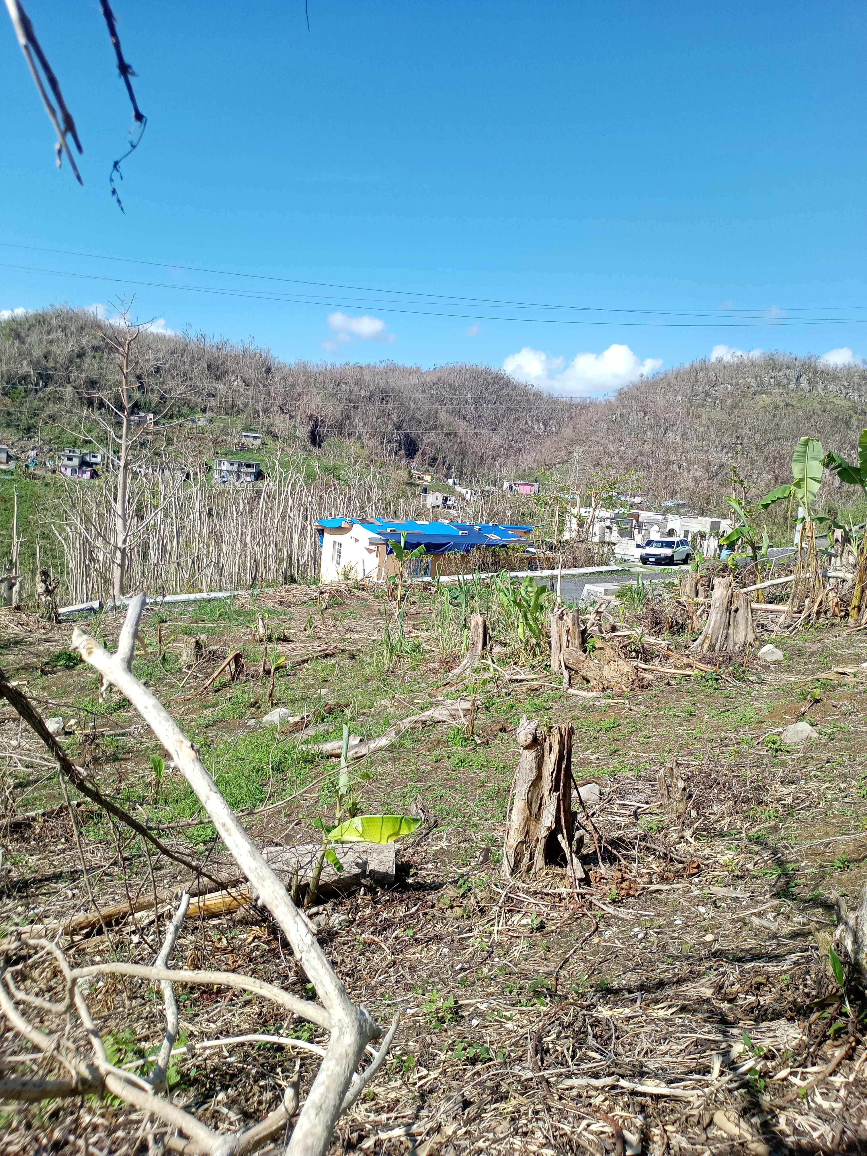 Help Howard Rebuild After Hurricane Melissa campaign photo, 7 of 8
