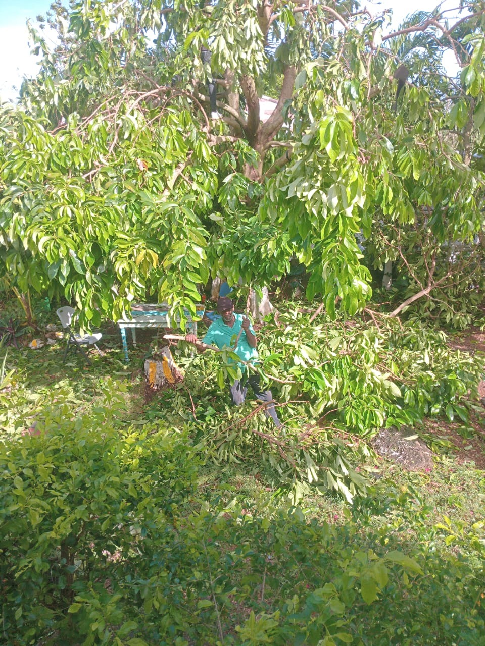 Support Dennick's Father After Hurricane Melissa campaign photo, 2 of 7