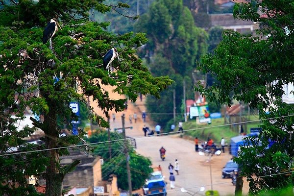 Uganda Mission 2026 campaign photo, 2 of 5