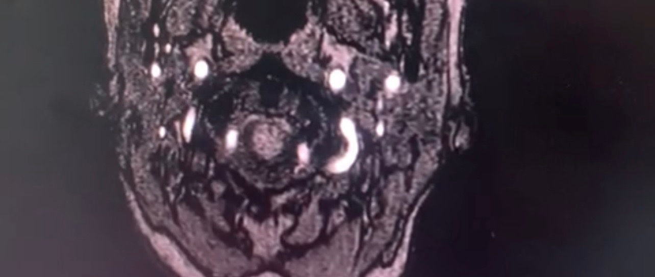 User-uploaded image 1