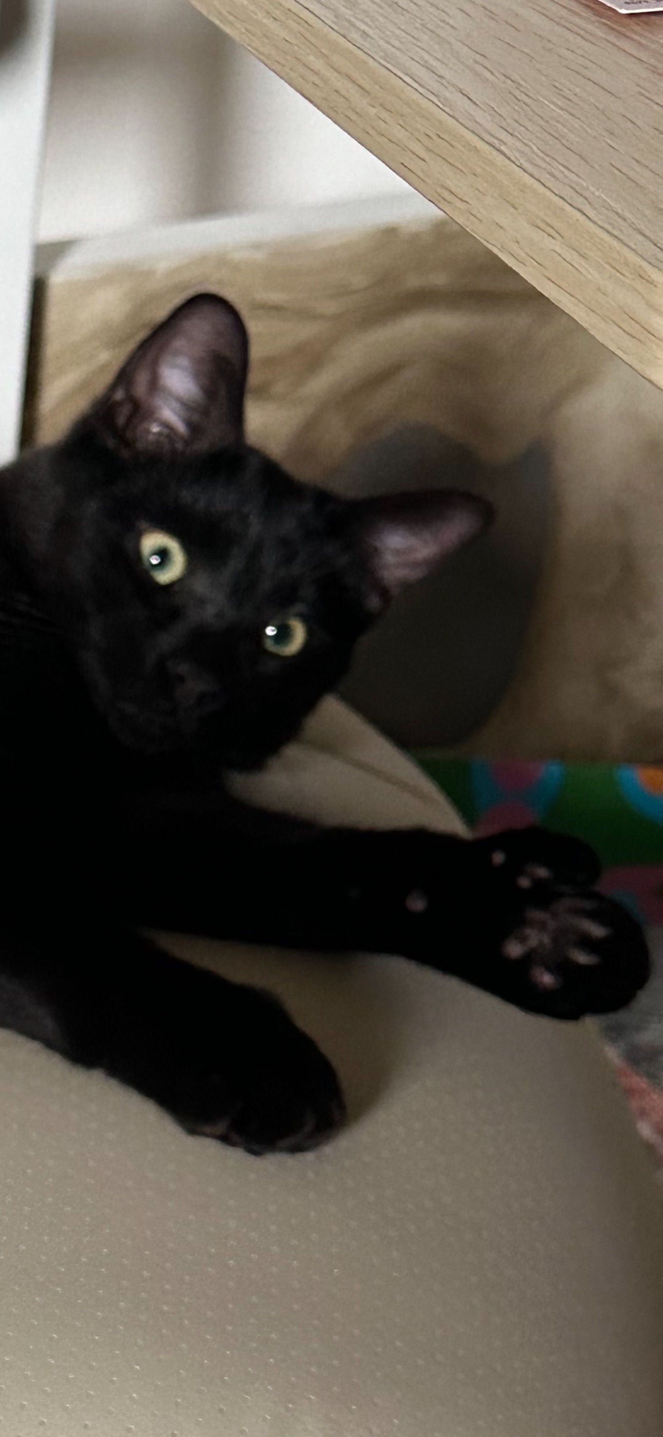 Support Baby Remi's Road to Recovery campaign photo, 6 of 7