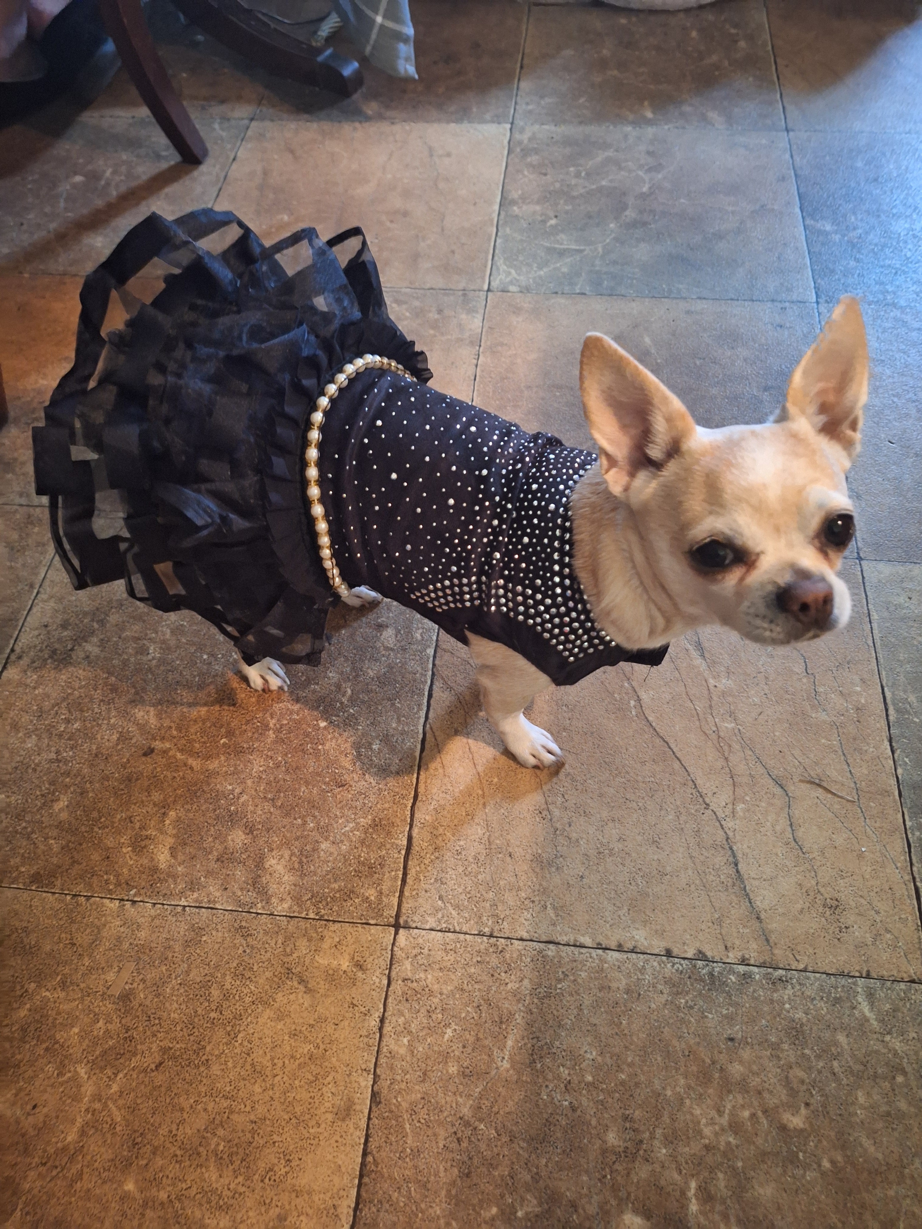 Help Precious Heal & Stay With Her Family campaign photo, 6 of 7