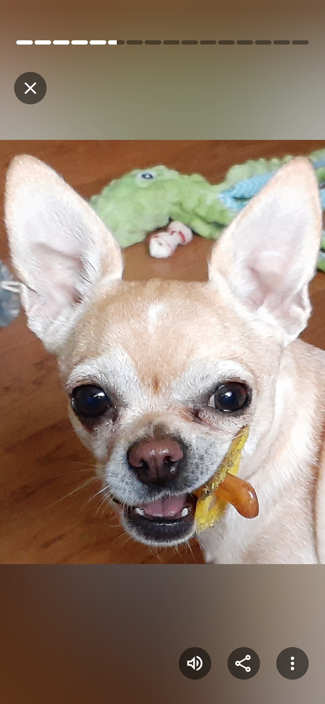 Help Precious Heal & Stay With Her Family campaign photo, 2 of 7