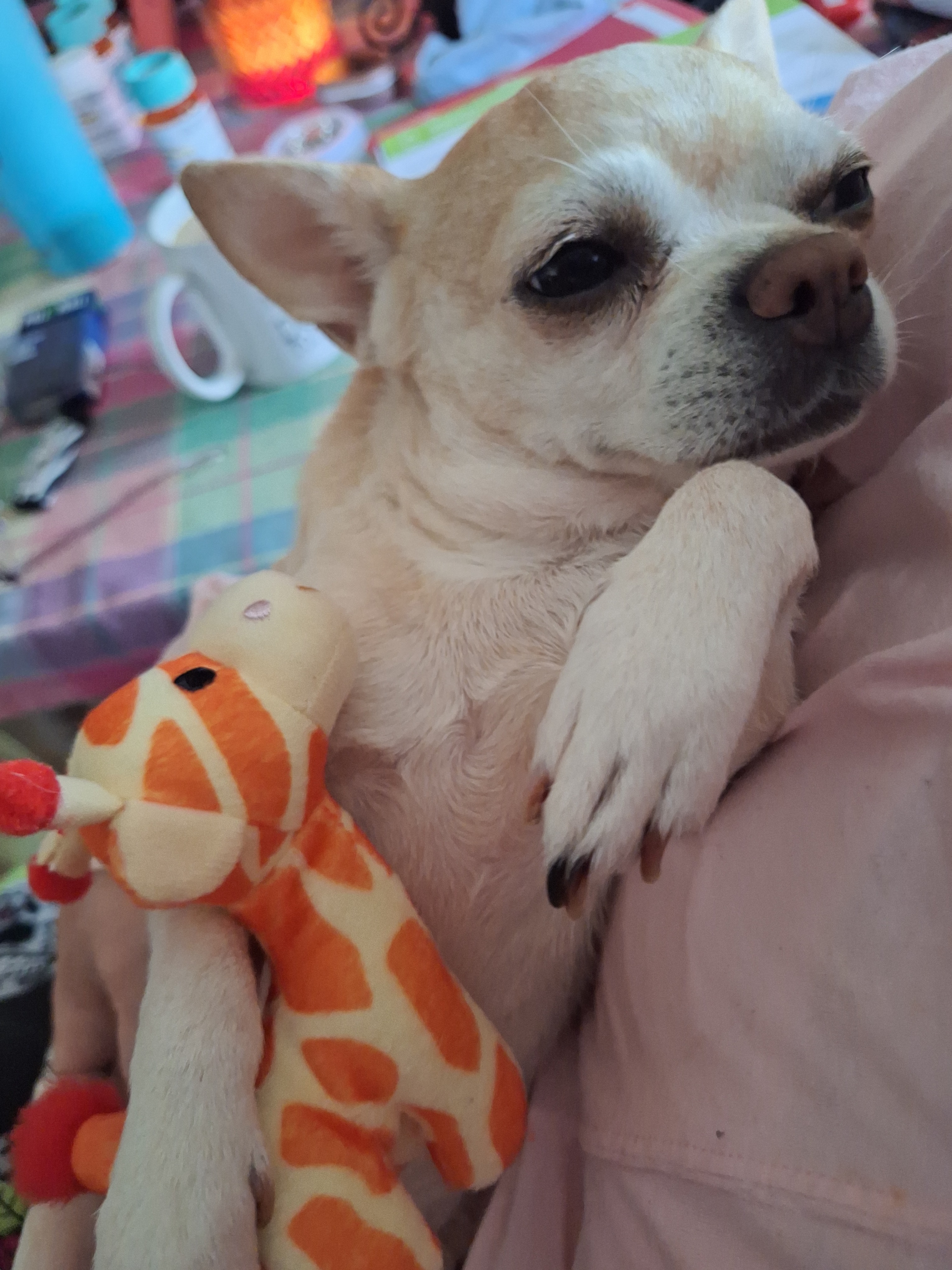 Help Precious Heal & Stay With Her Family campaign photo, 4 of 7