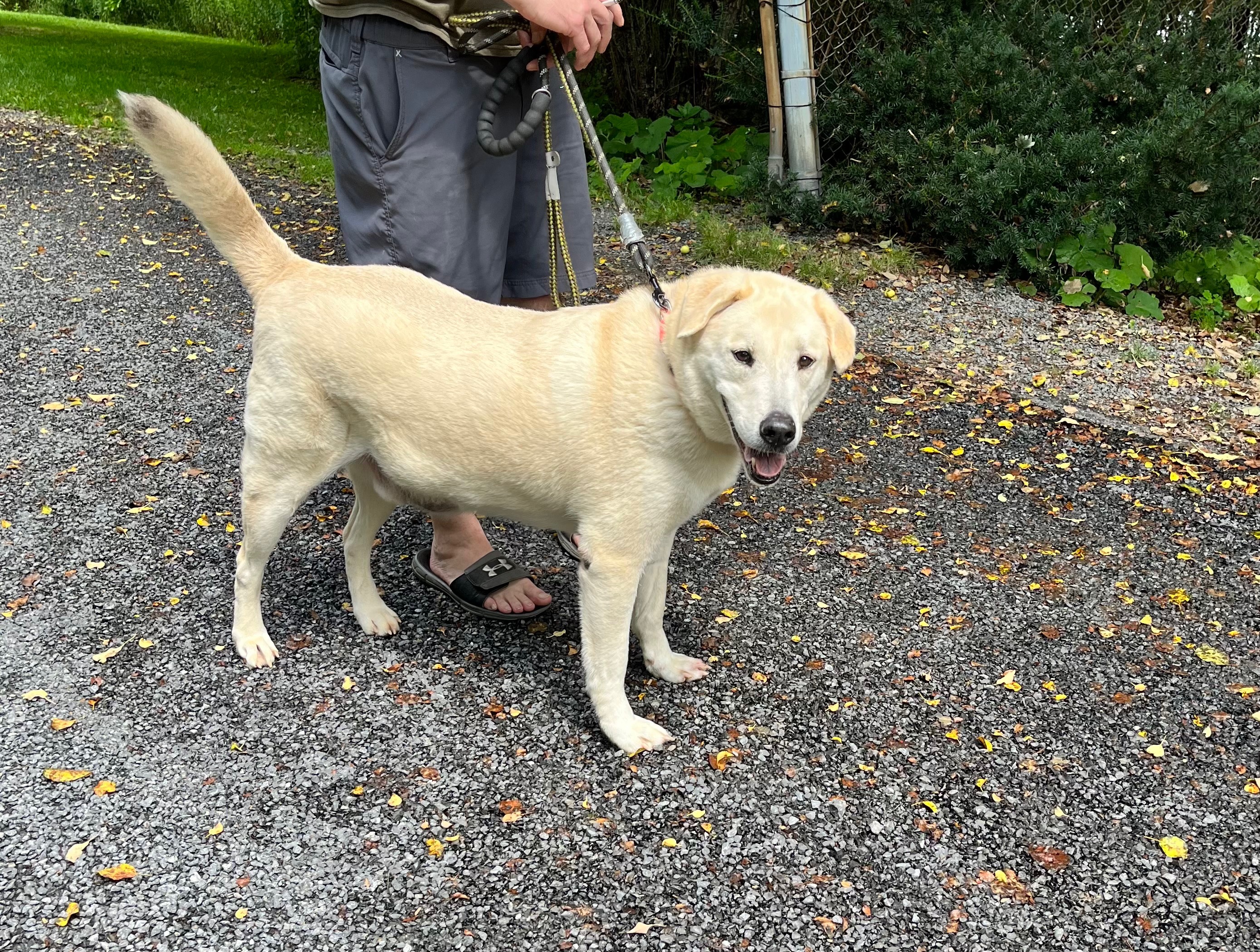Help Duke Run Free: Surgery Fund campaign photo, 4 of 6