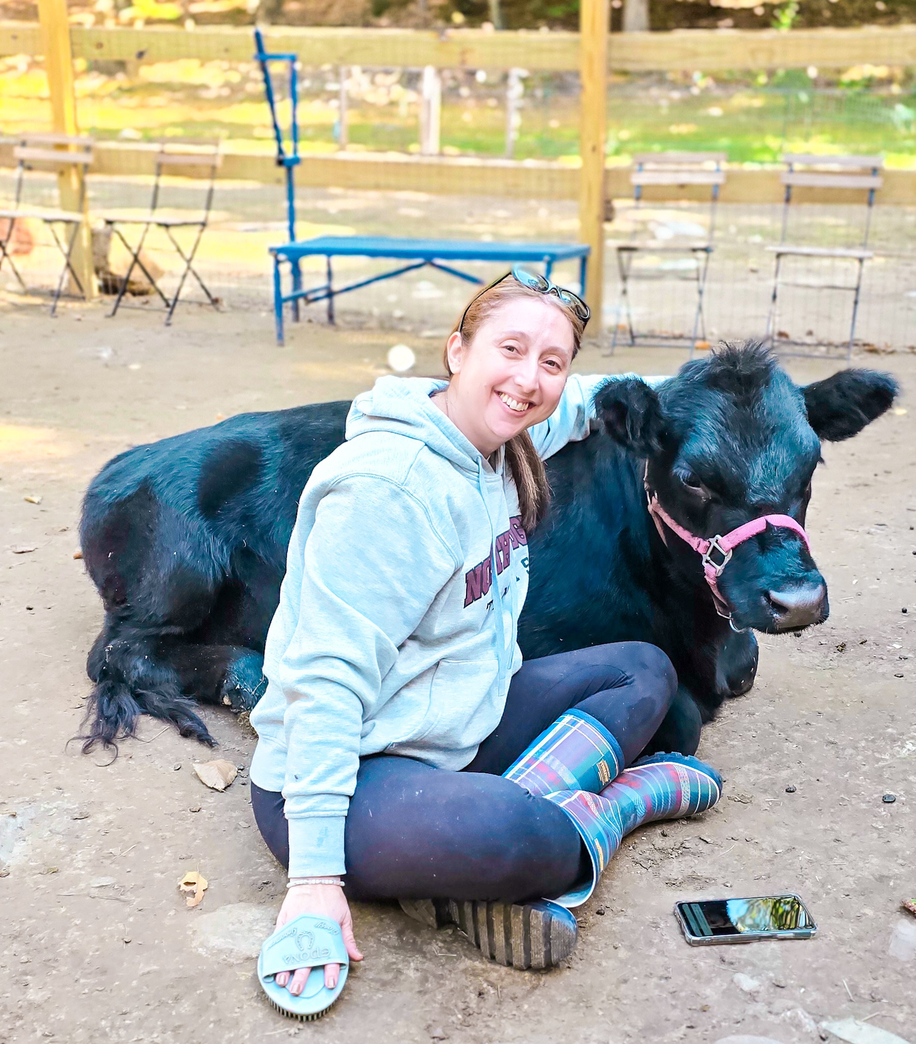 Help Bracken Hill Farm's Animals Thrive campaign photo, 5 of 8