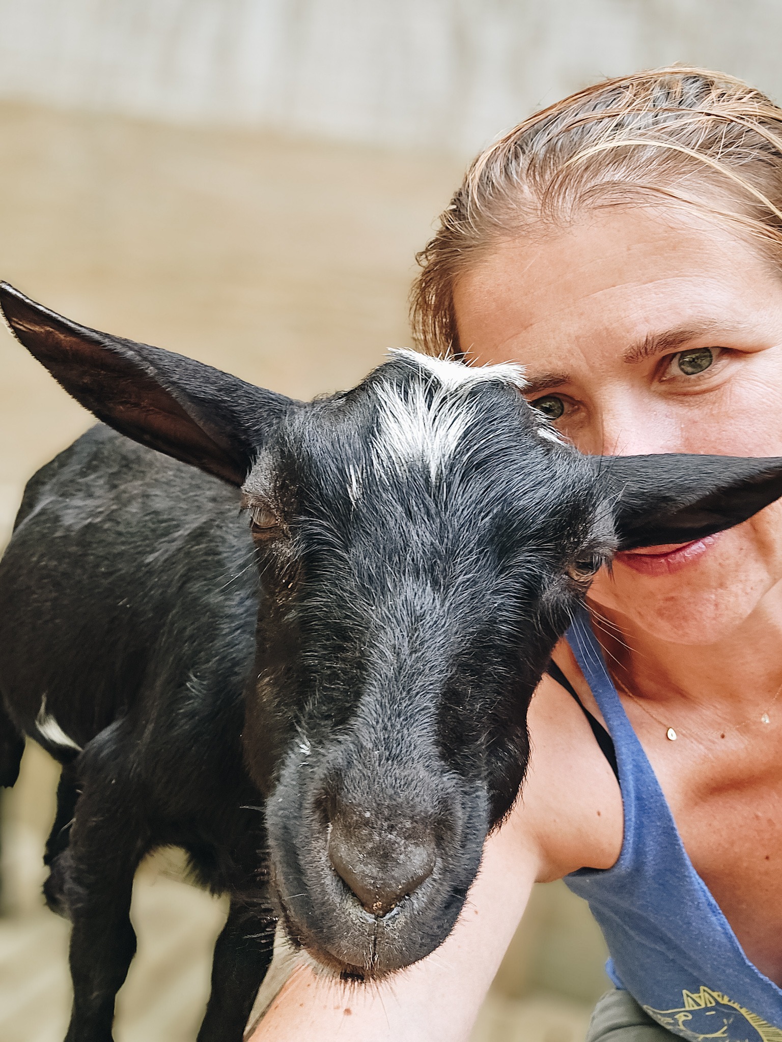Help Bracken Hill Farm's Animals Thrive campaign photo, 6 of 8
