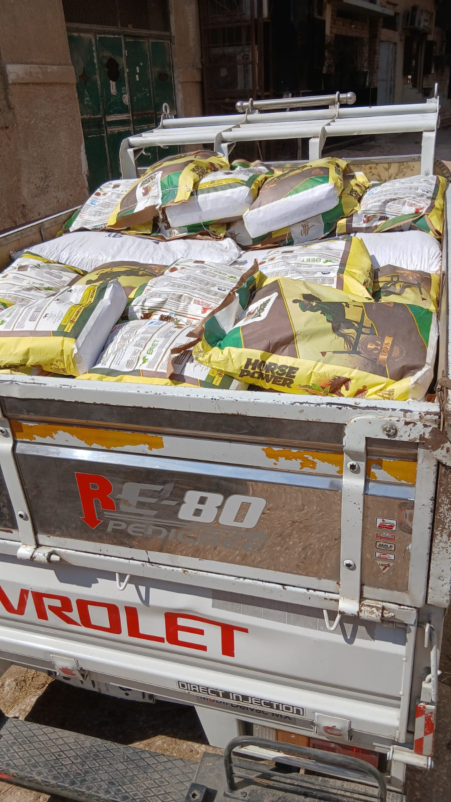 Kampagnen-Foto für Food for the rescues - Futter für die Pferde in Kairo, 5 von 6