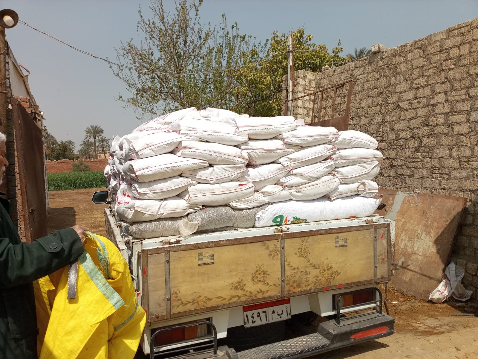Kampagnen-Foto für Food for the rescues - Futter für die Pferde in Kairo, 4 von 6